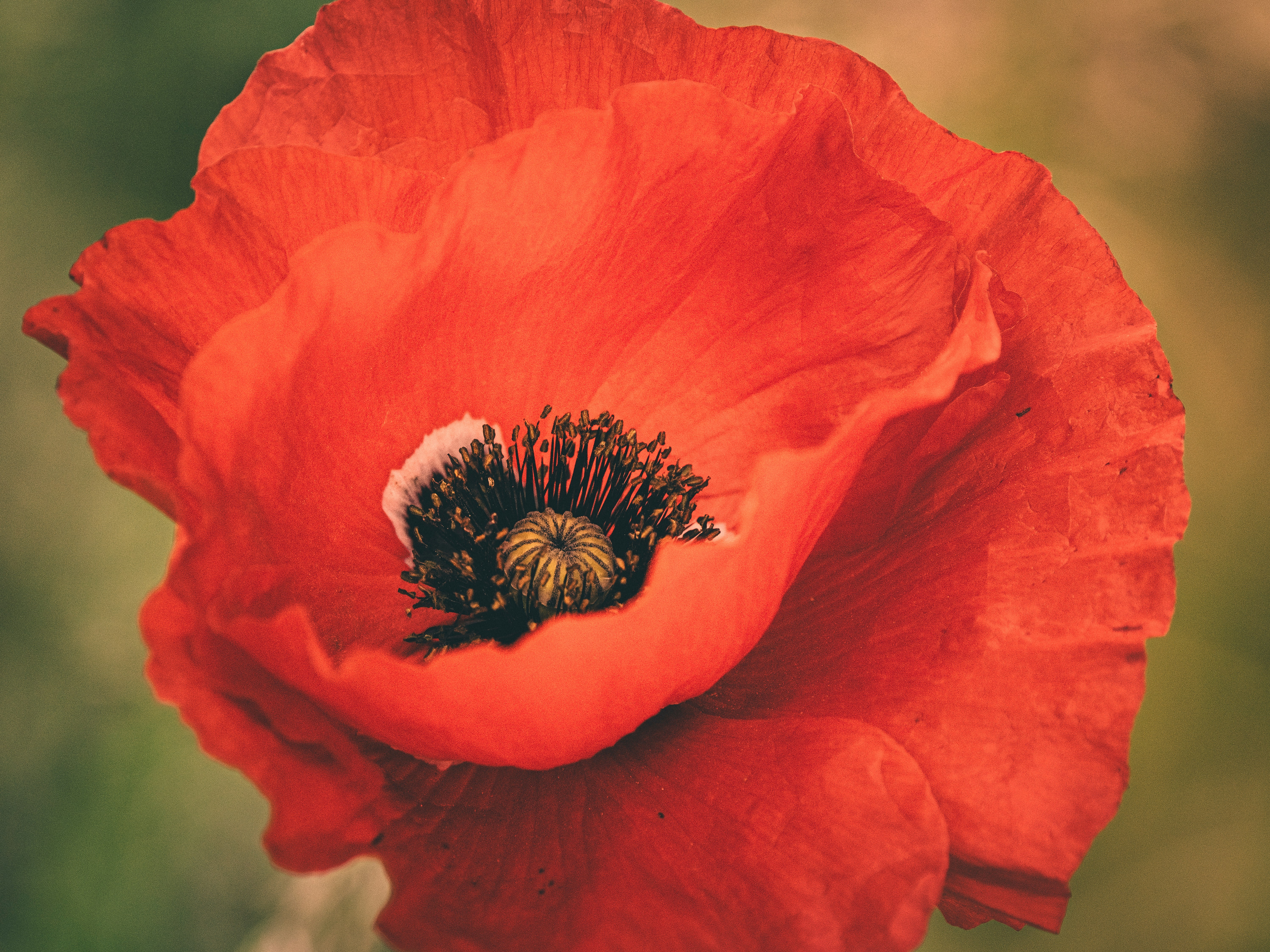 Photo by sinusfiction