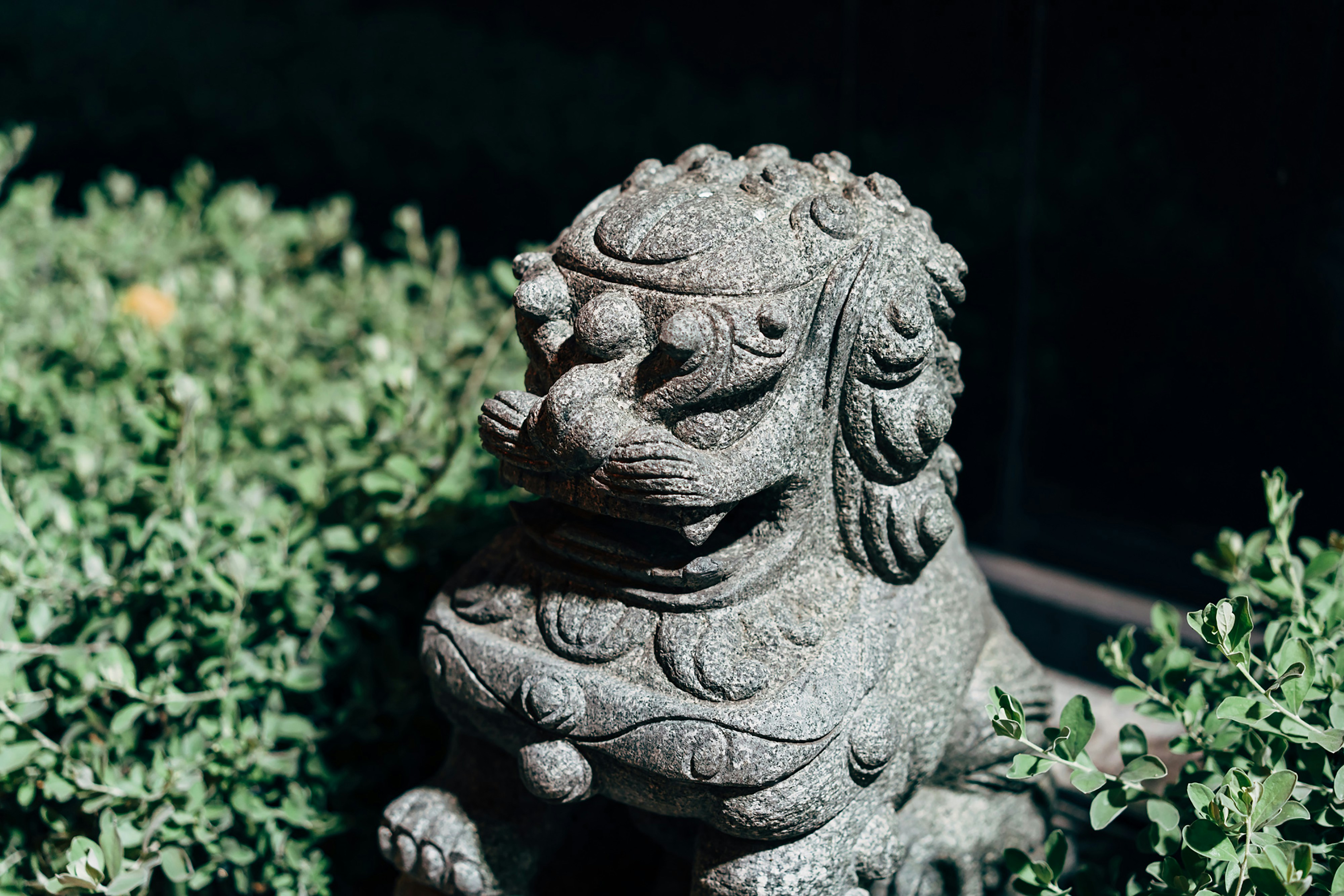 Photo by markuswinkler