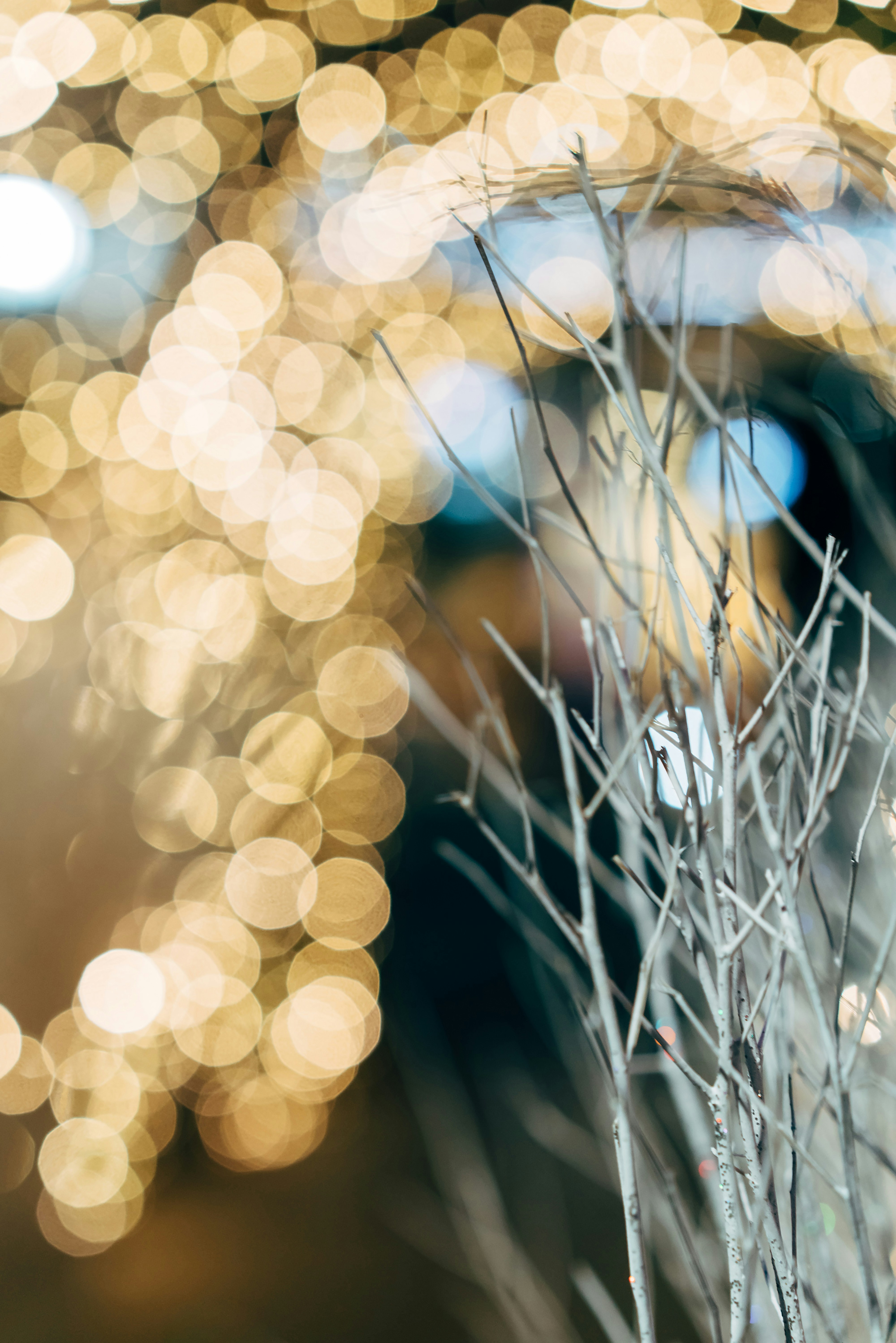 Photo by markuswinkler