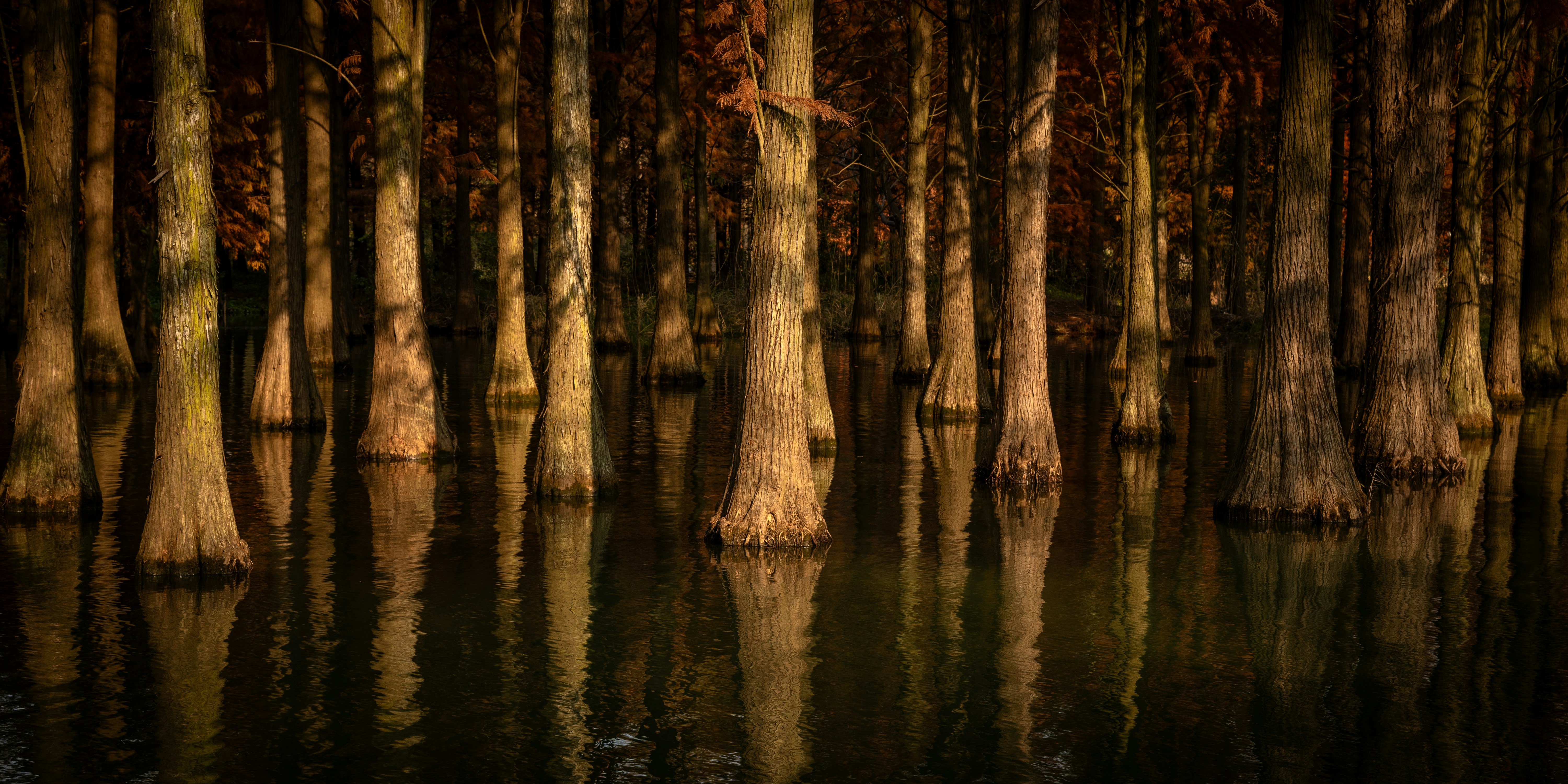 Photo by wenhao_ruan