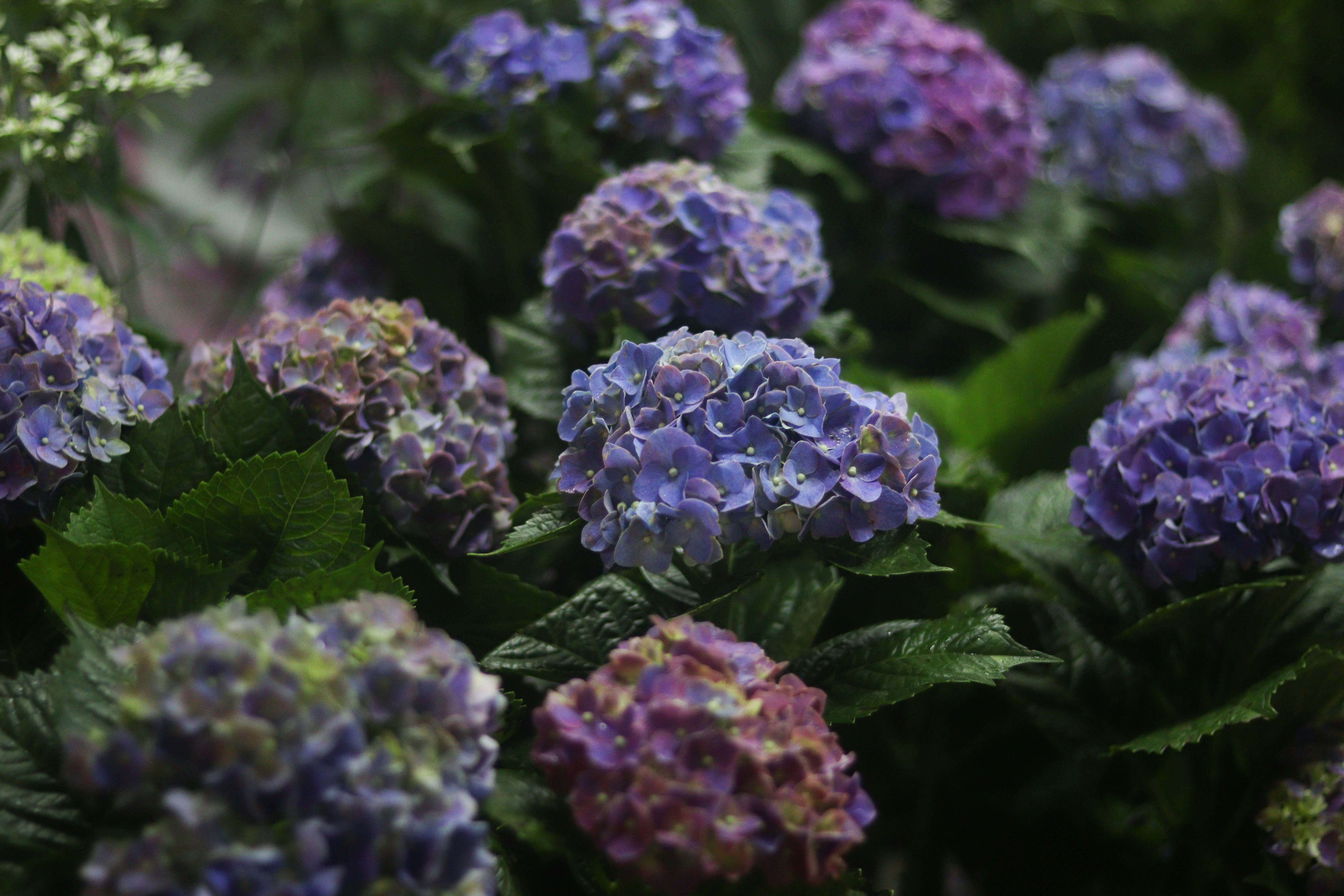 Photo by nerushi