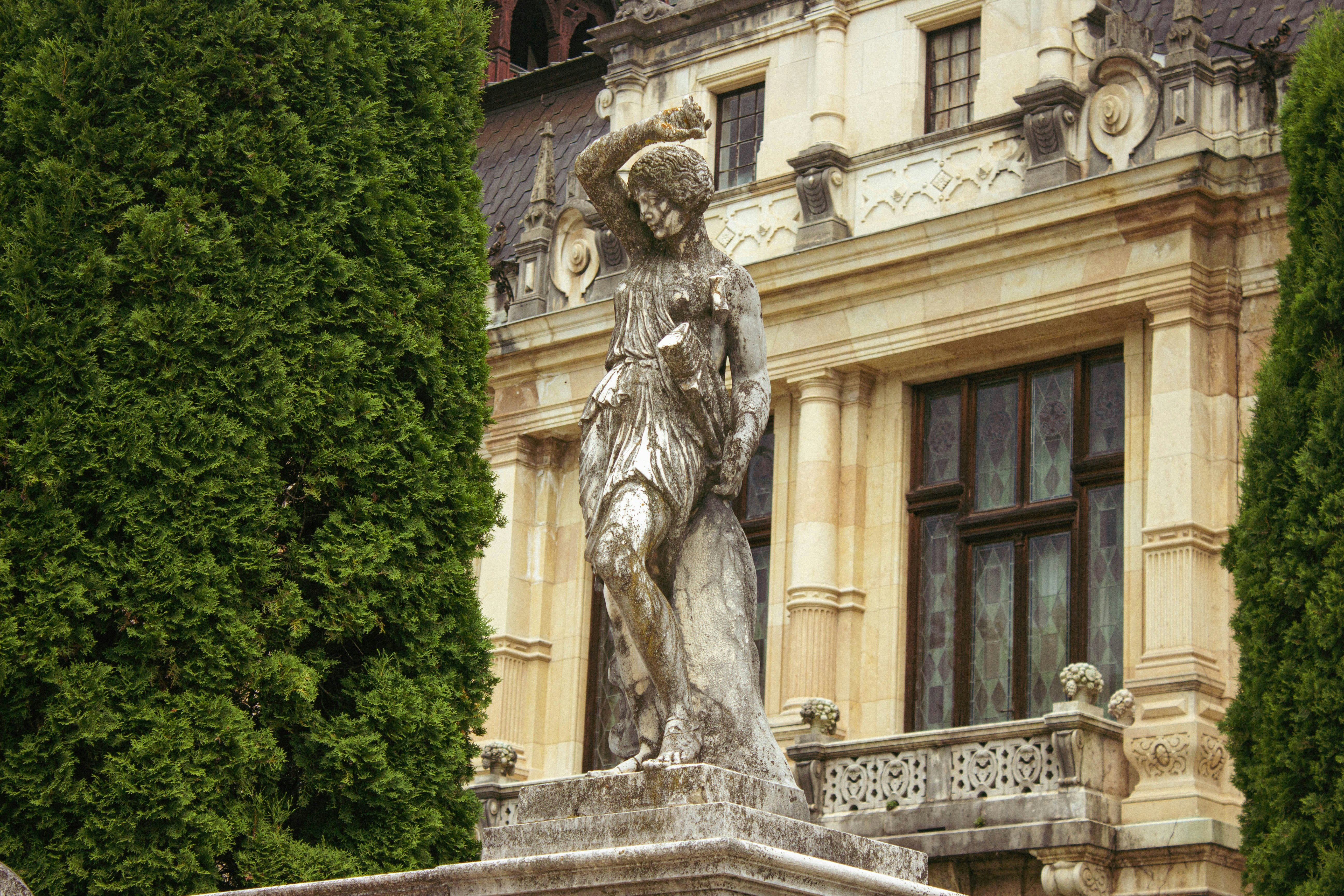 Photo by reanimatedmanx