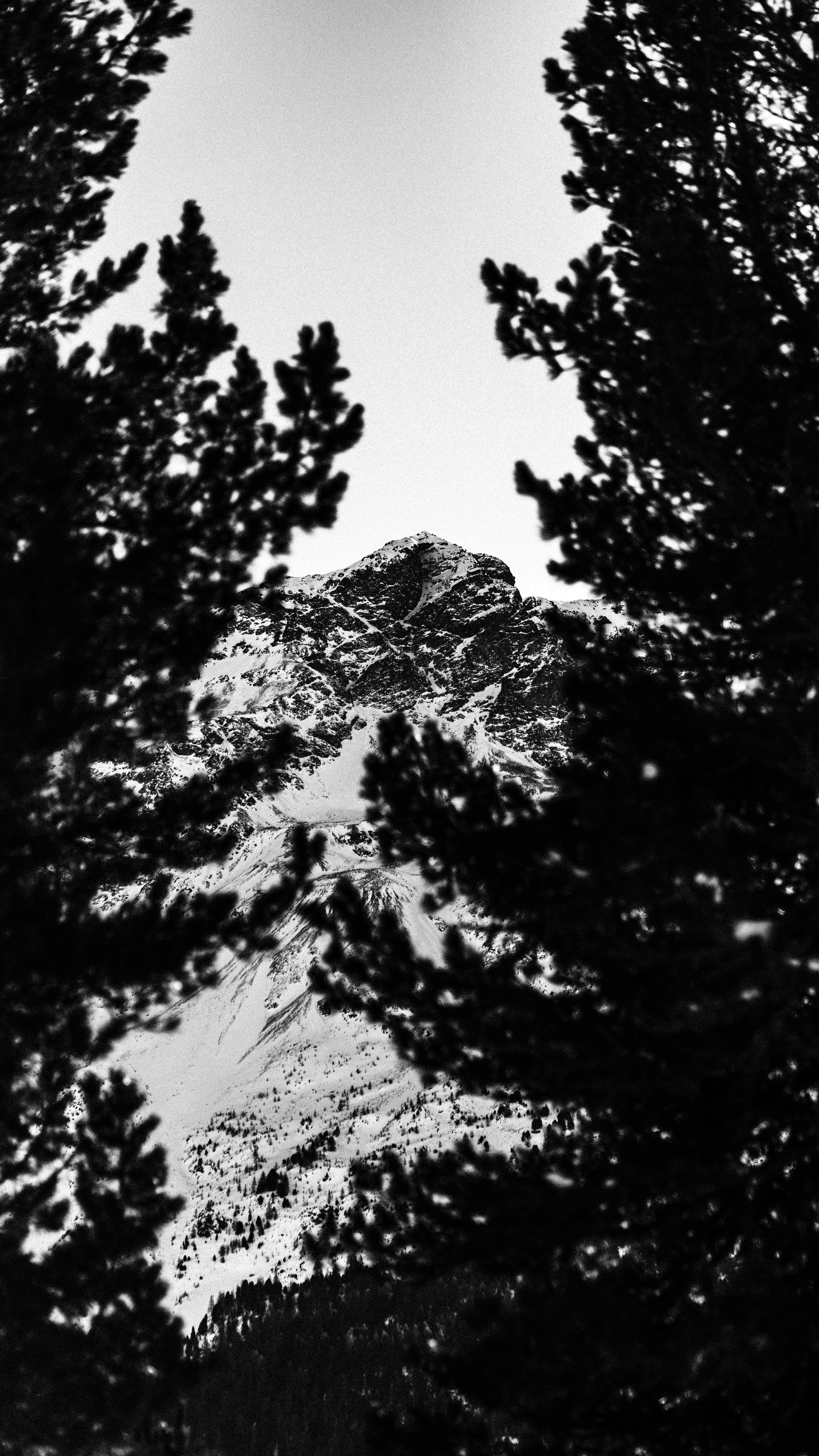 Photo by branislavrodman