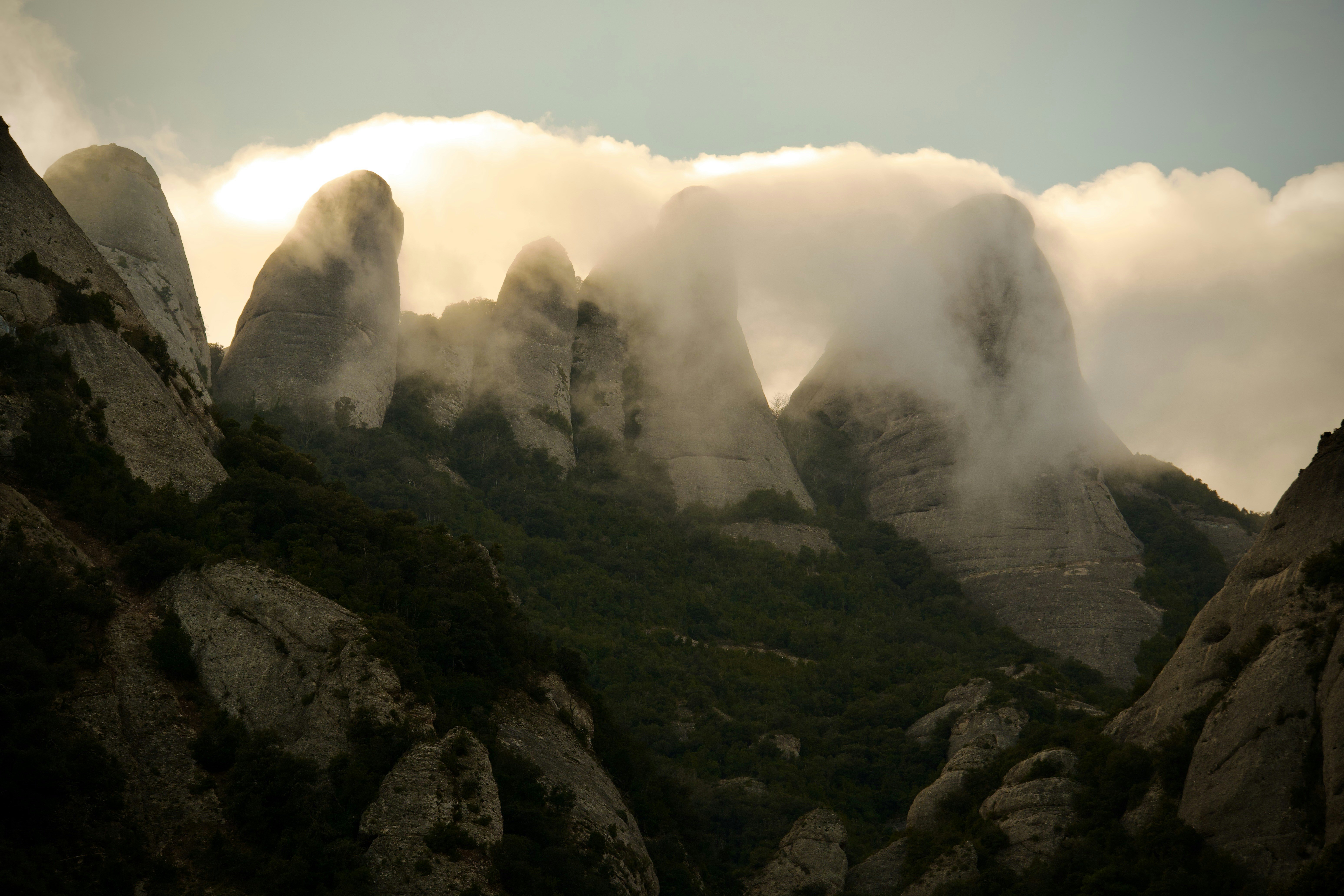 Photo by elisabertoja