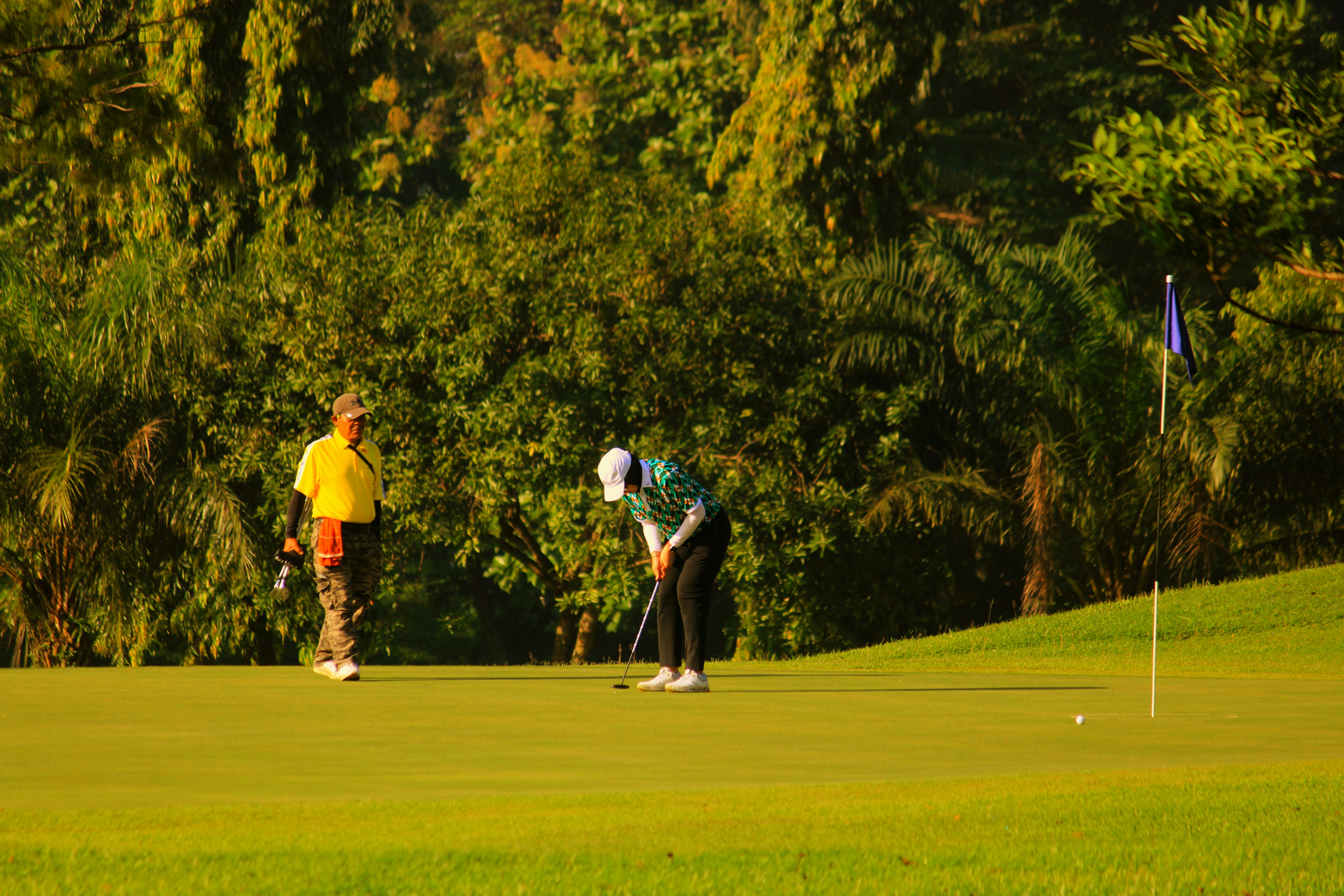 골프 장갑Golf Gloves