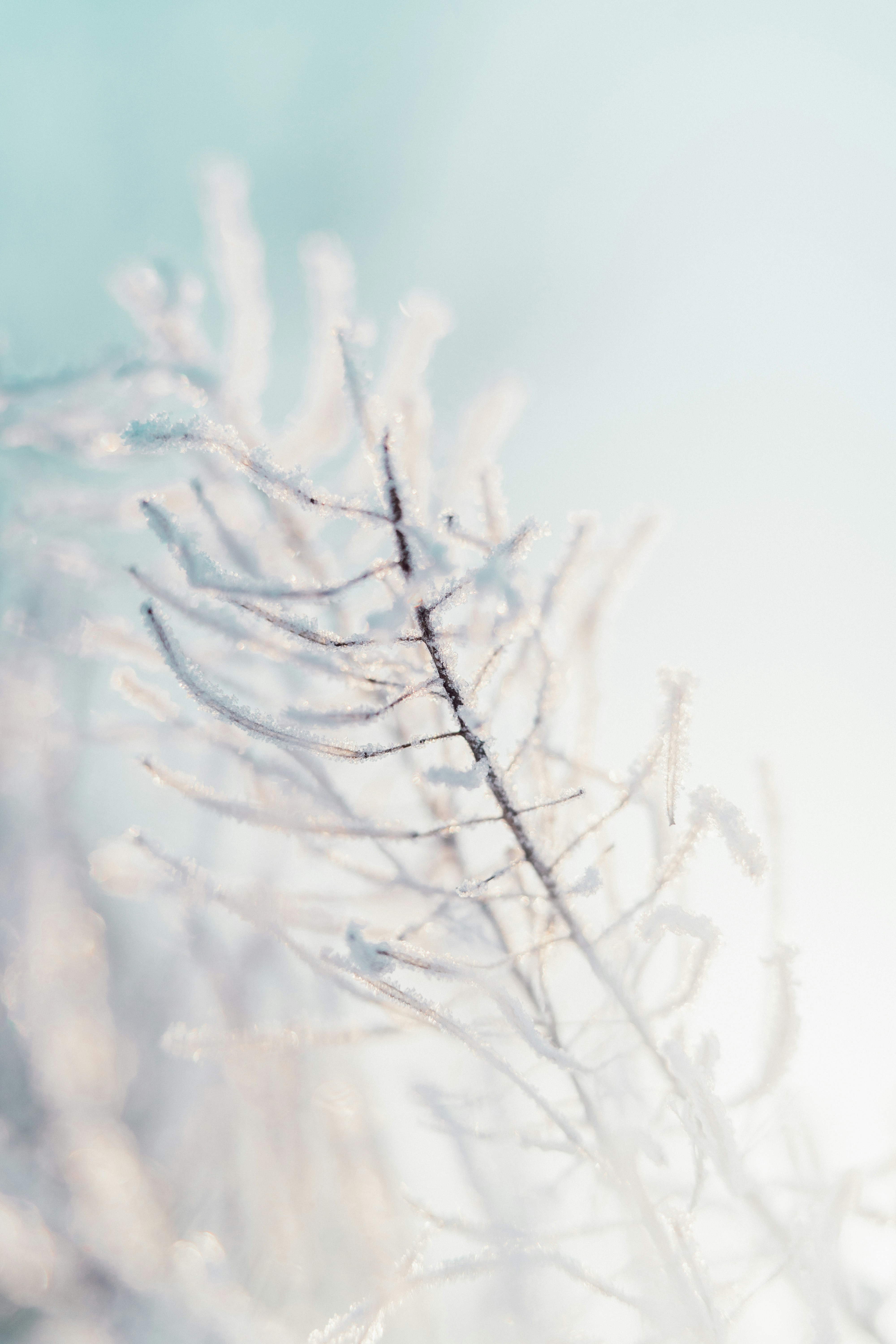 Photo by anamnesis33