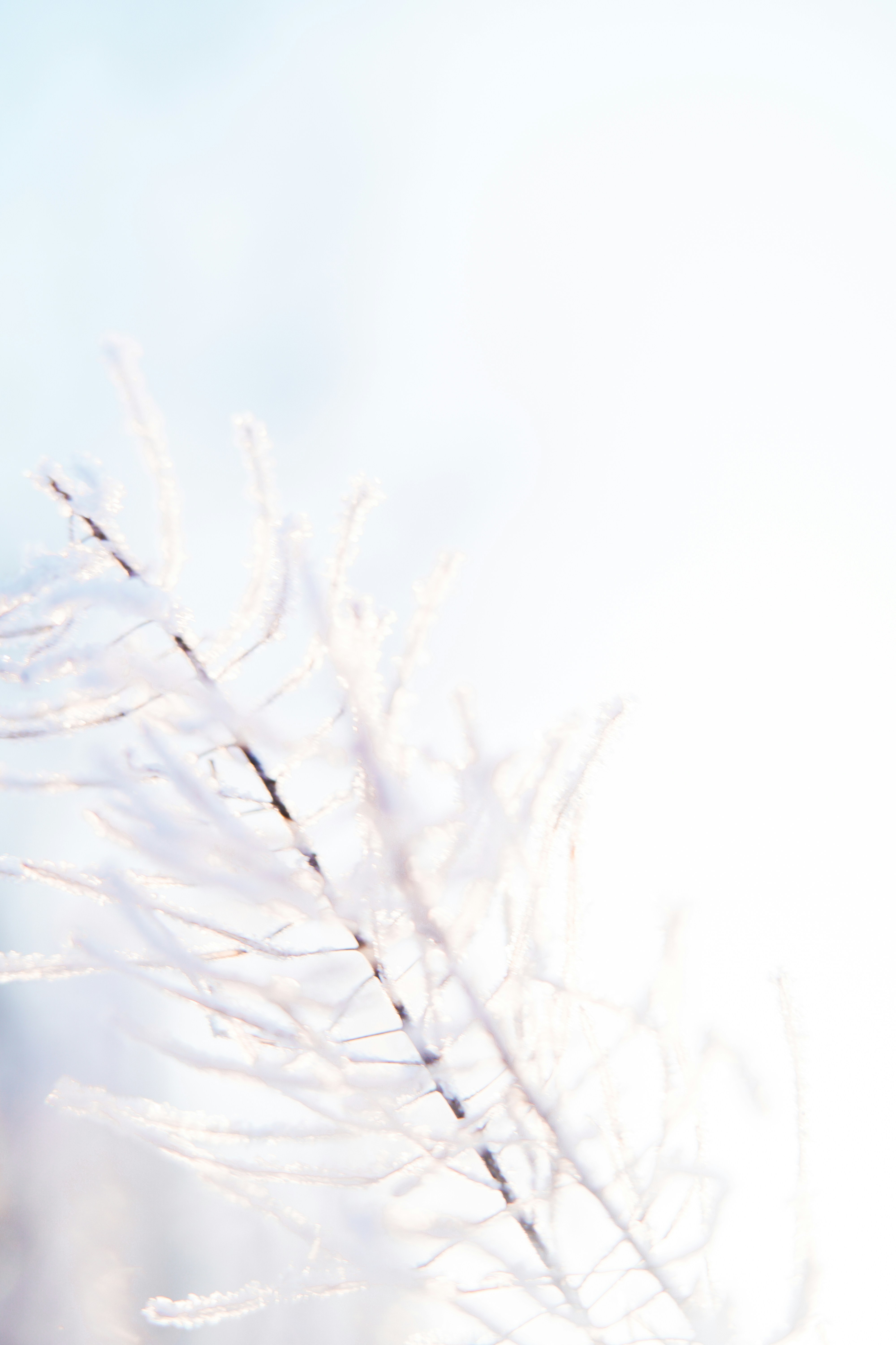 Photo by anamnesis33