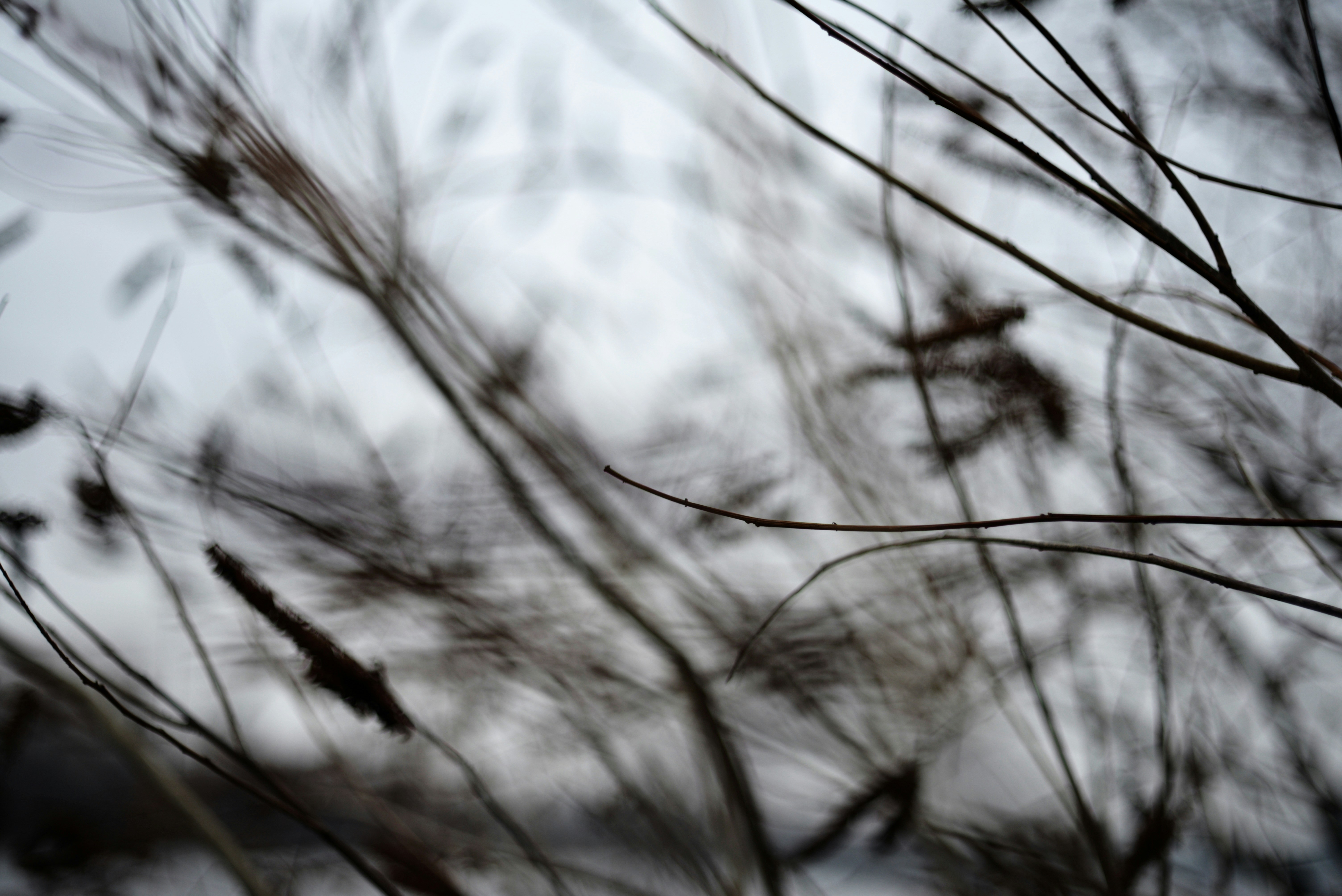 Photo by cherstve_pechivo