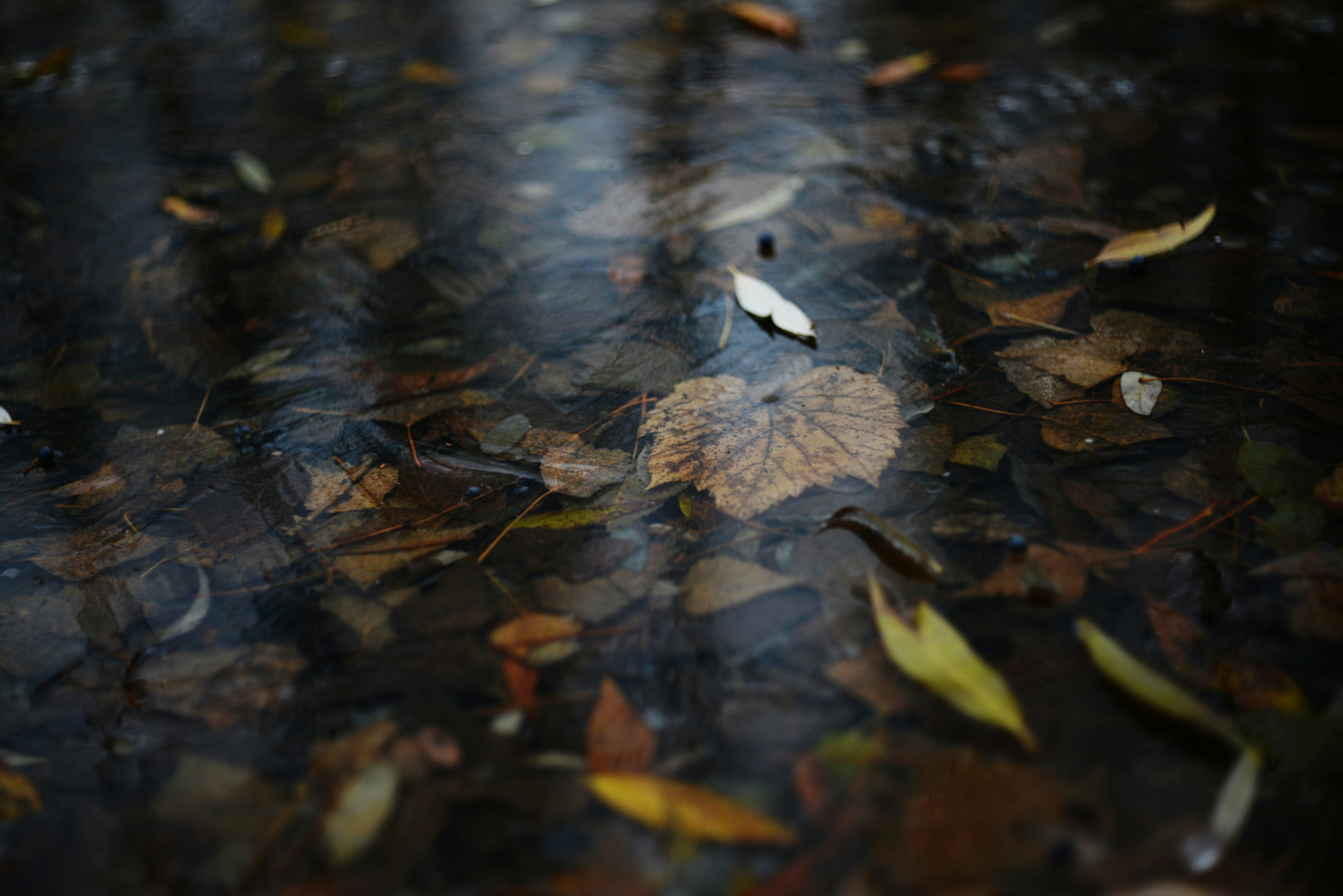 Photo by cherstve_pechivo