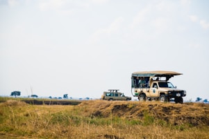 A safari vehicle is parked in a field