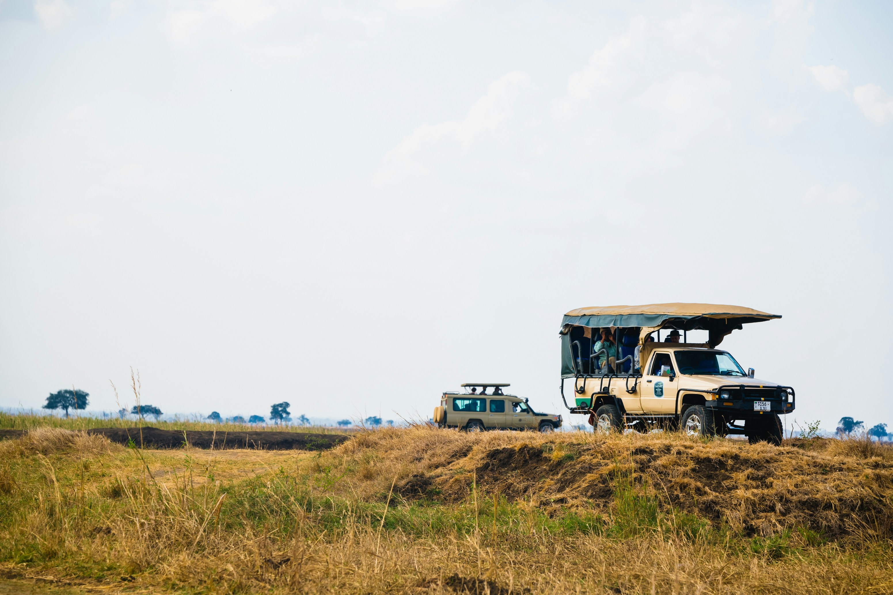 Exciting Africa Safari Tours