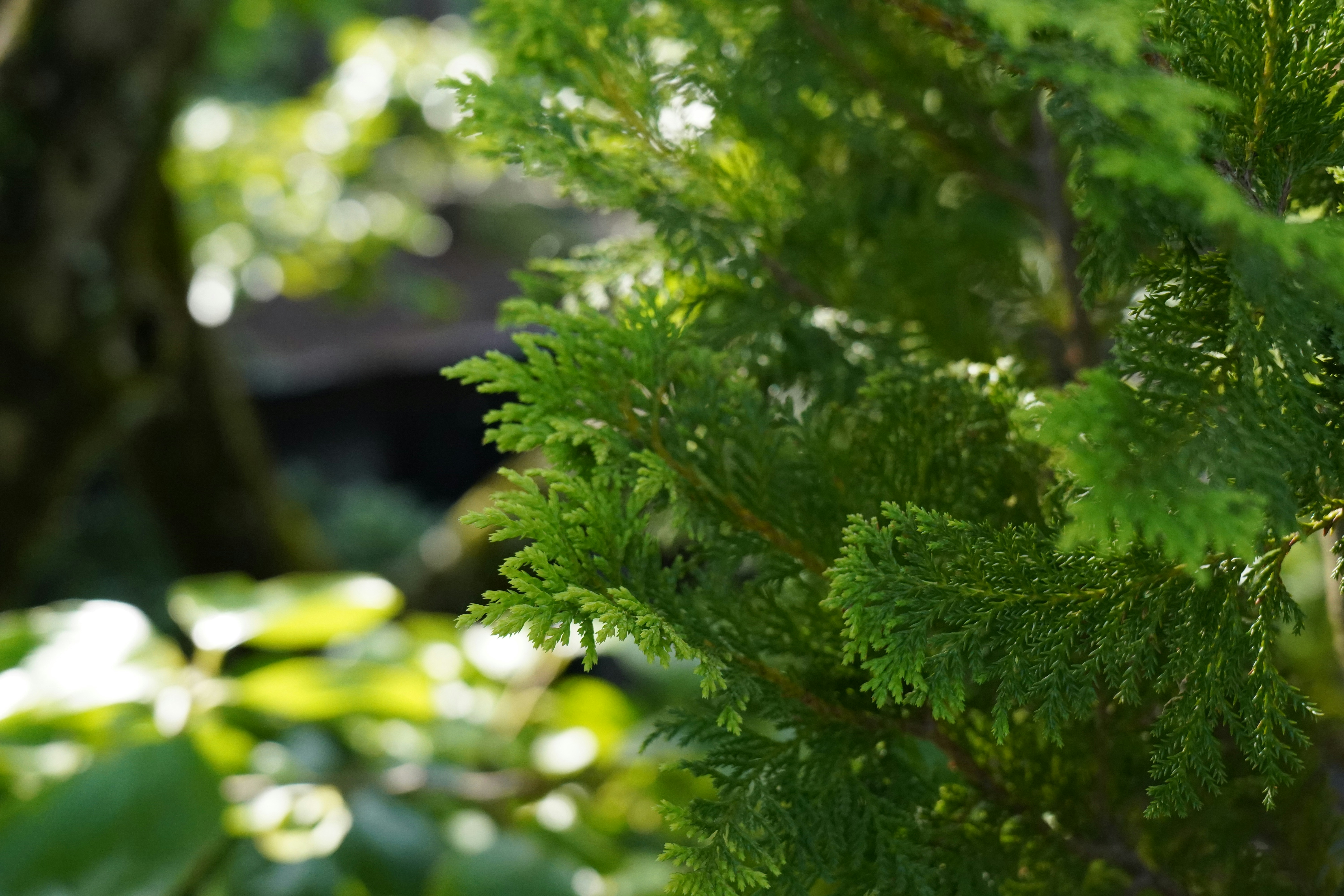 A bird is perched on a tree branch
