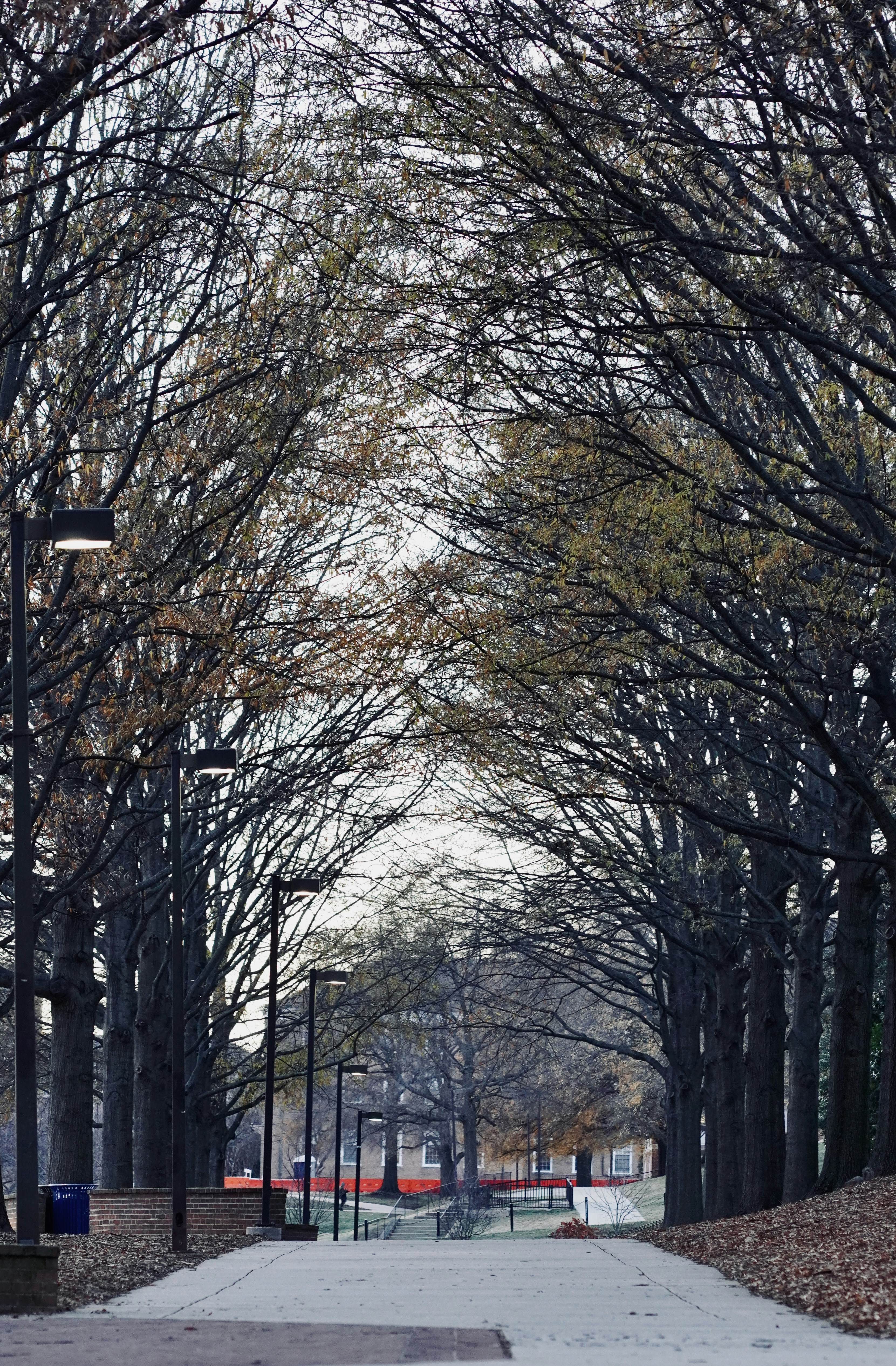 Photo by rishabhb_15