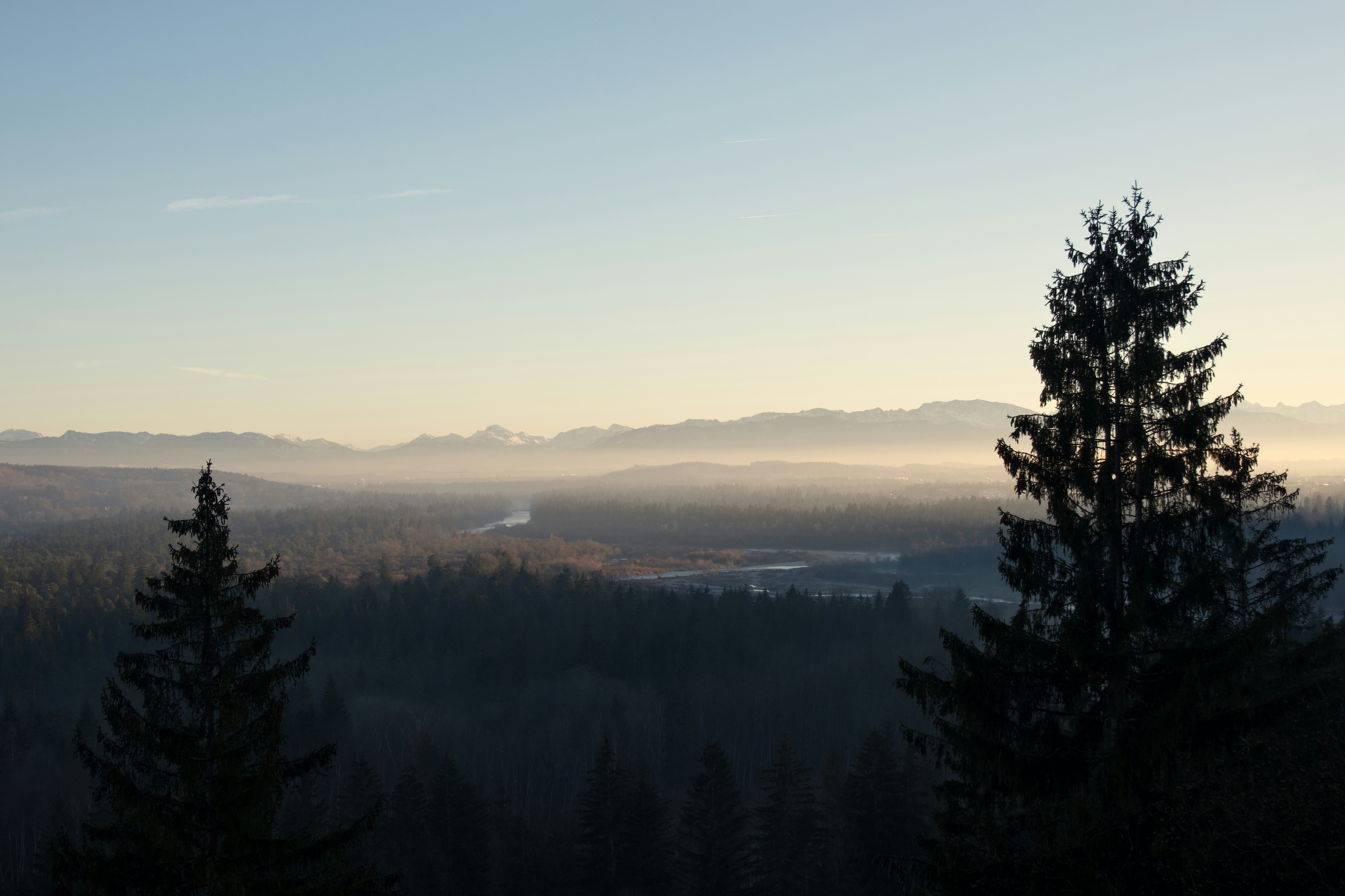 A view of a mountain with trees in the foreground