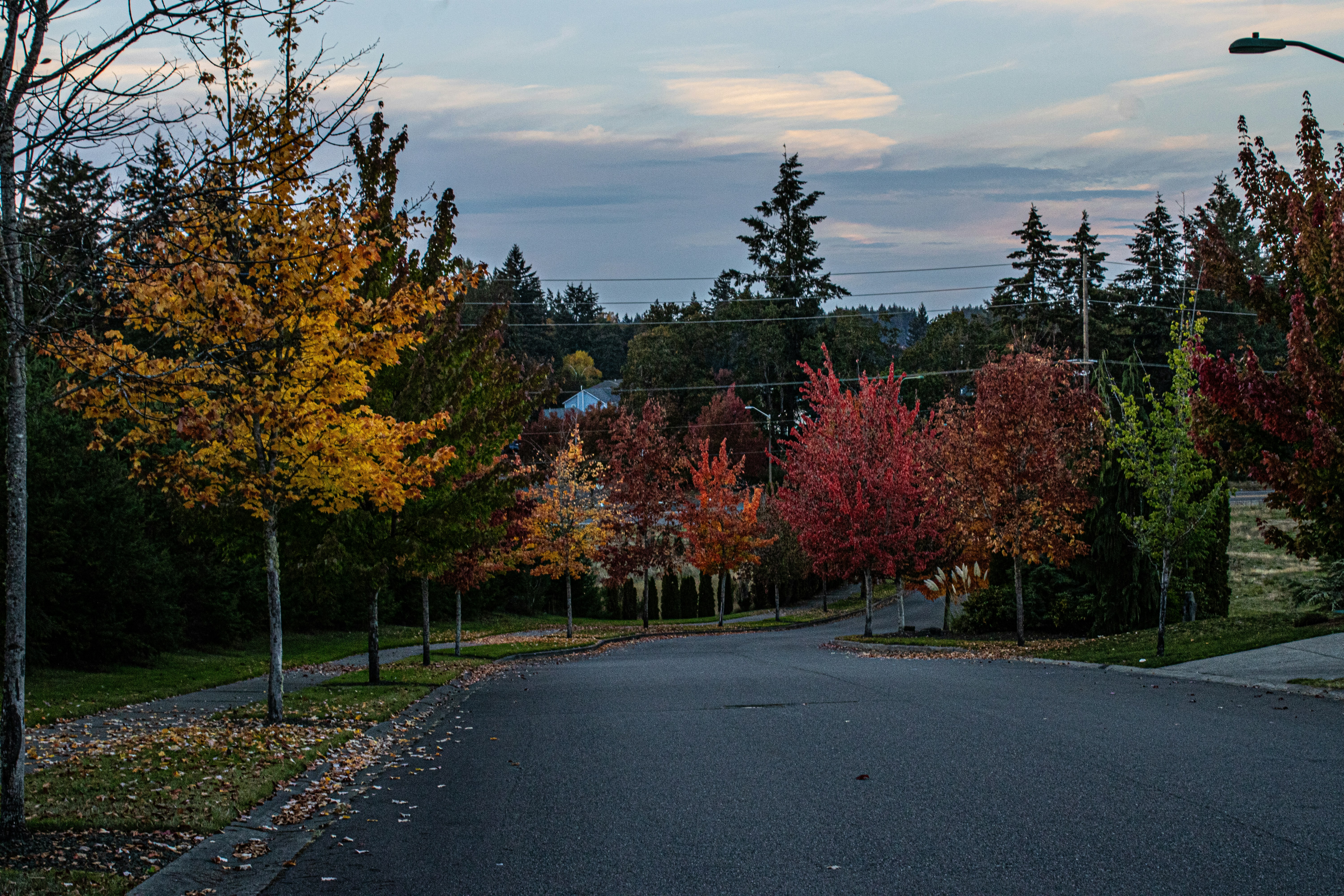 Photo by prphotography262