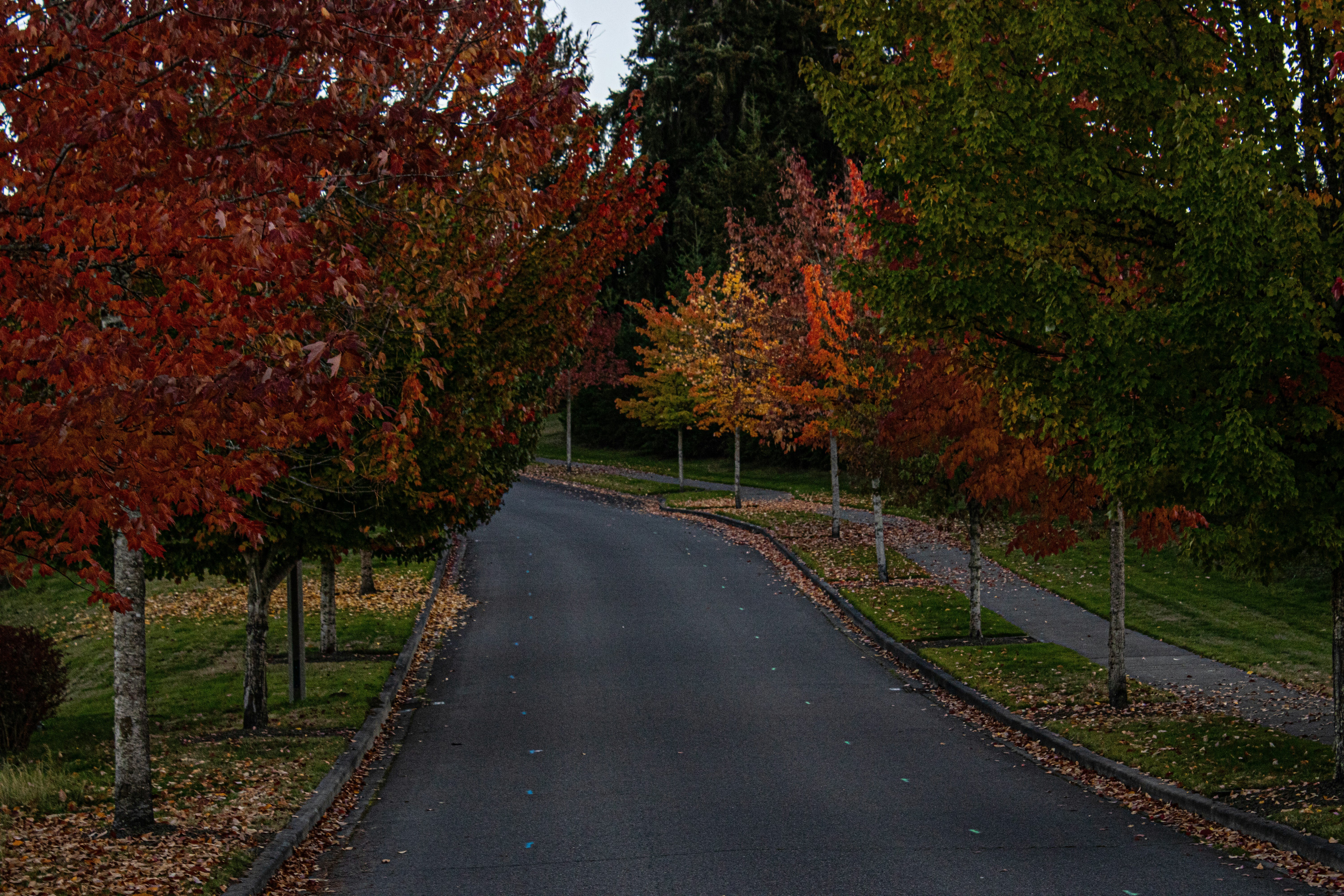 Photo by prphotography262