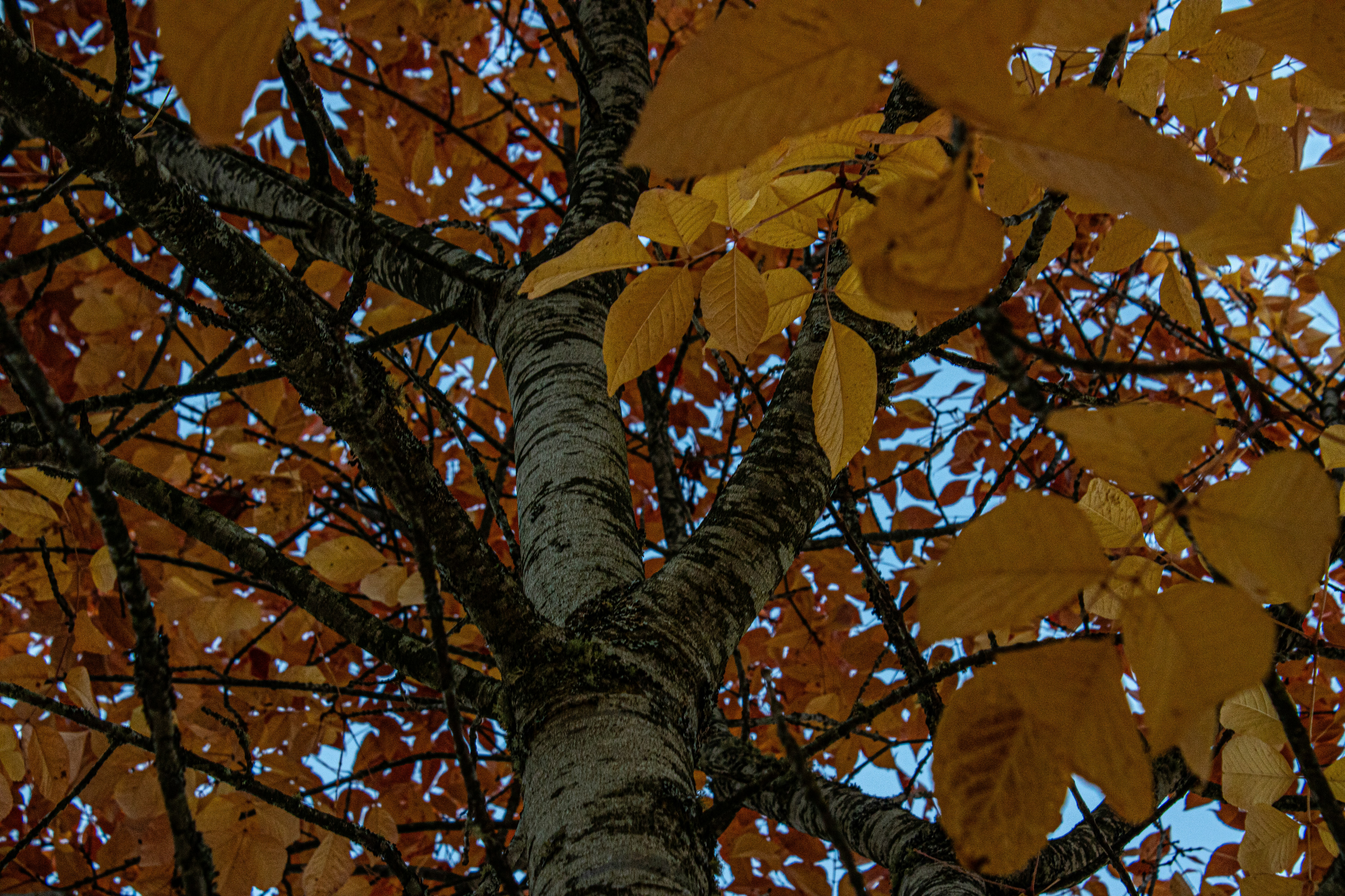 Photo by prphotography262