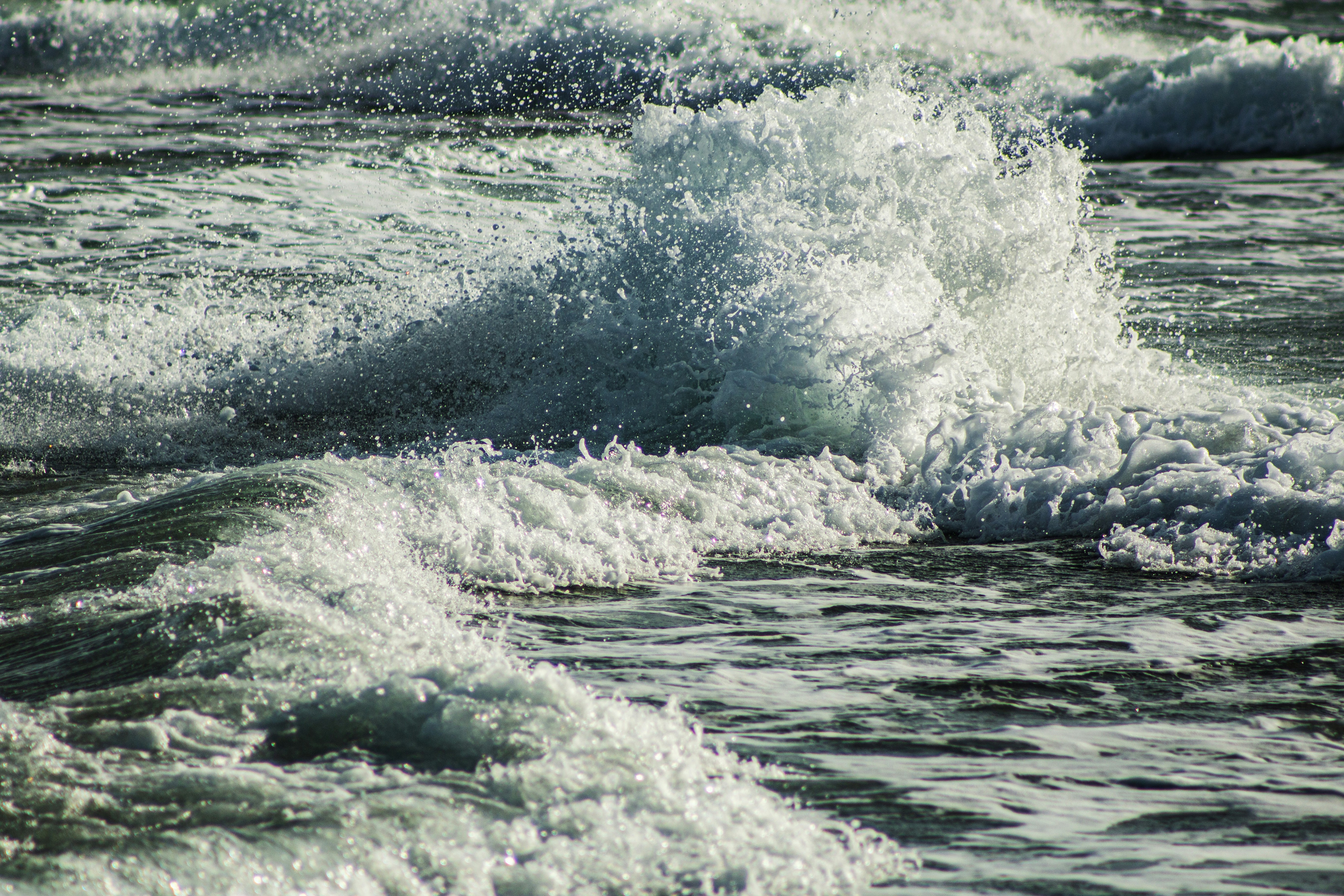 Photo by stepan_konev