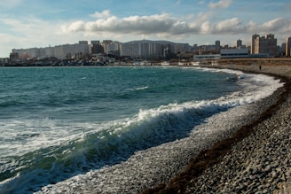 A view of a beach with a city in the background