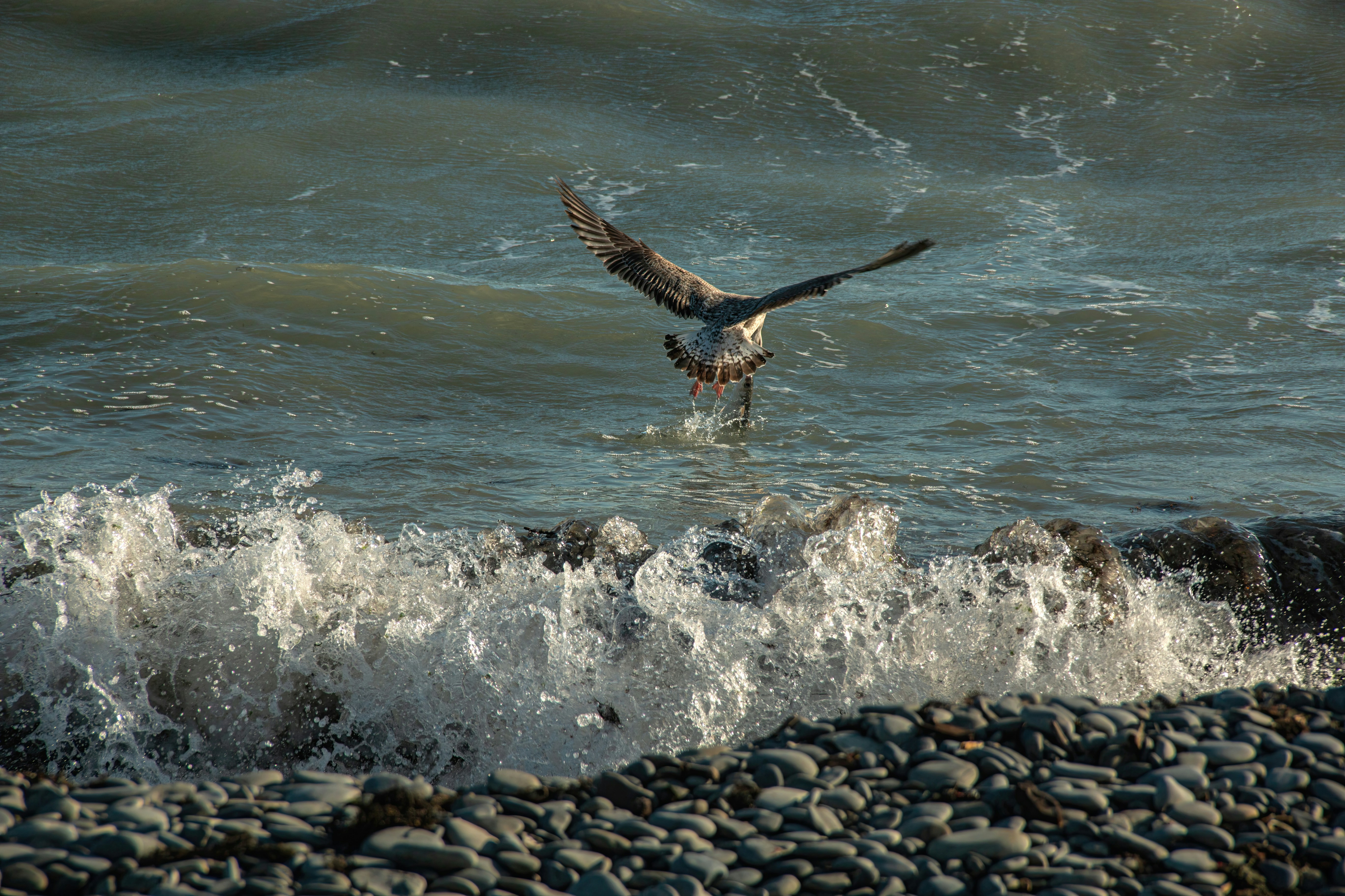 Photo by stepan_konev