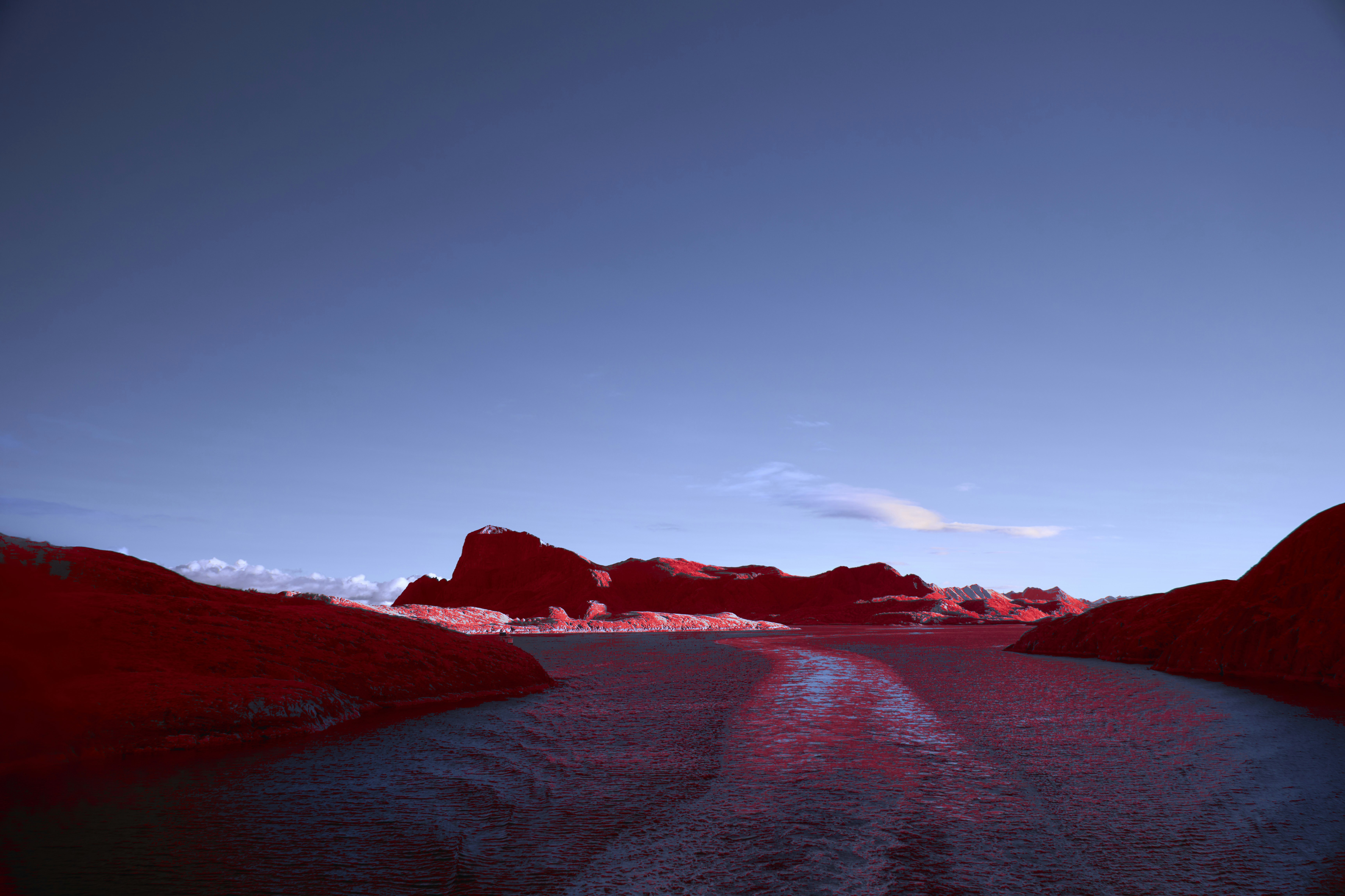 Photo by wolfgang_hasselmann