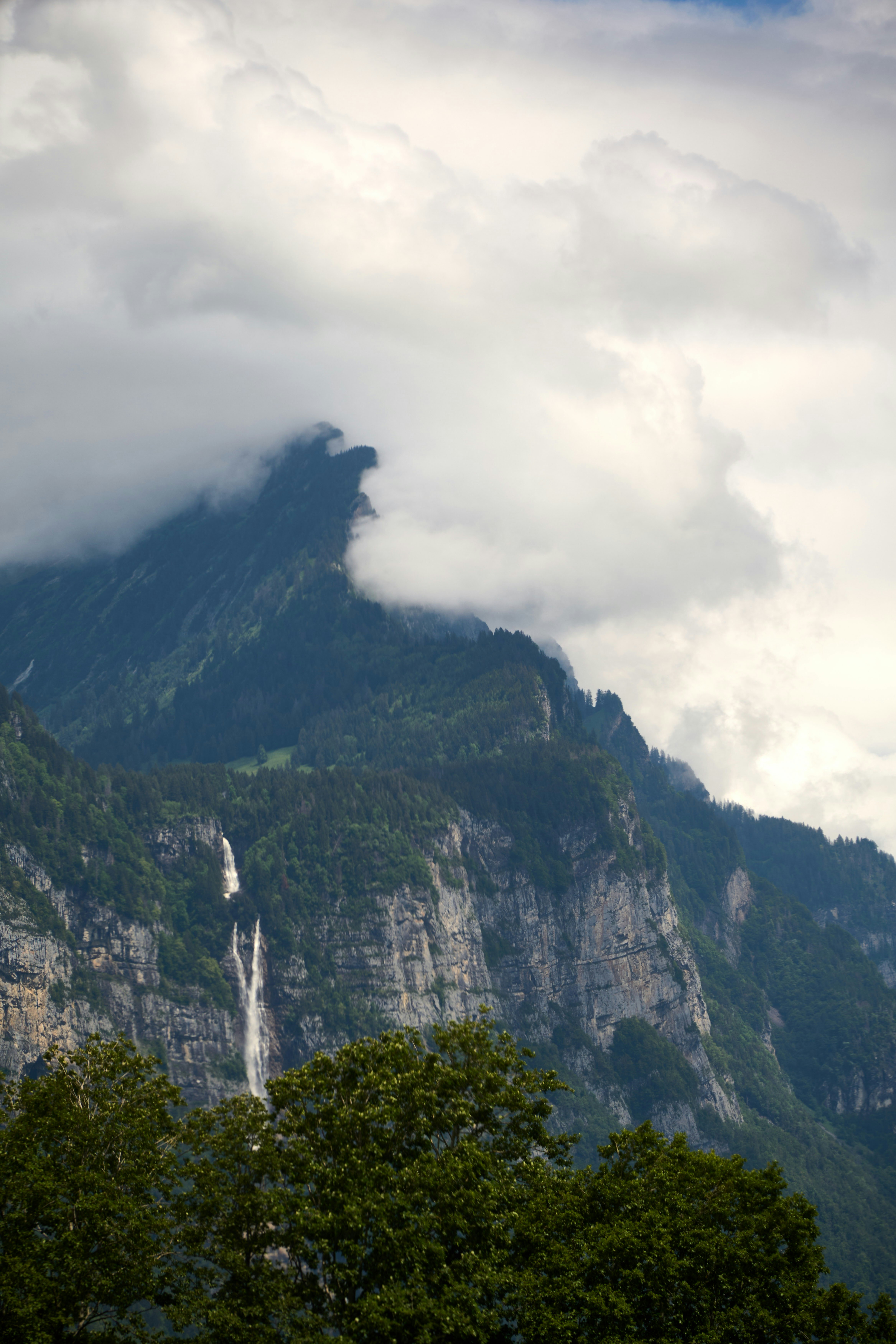 Photo by wolfgang_hasselmann