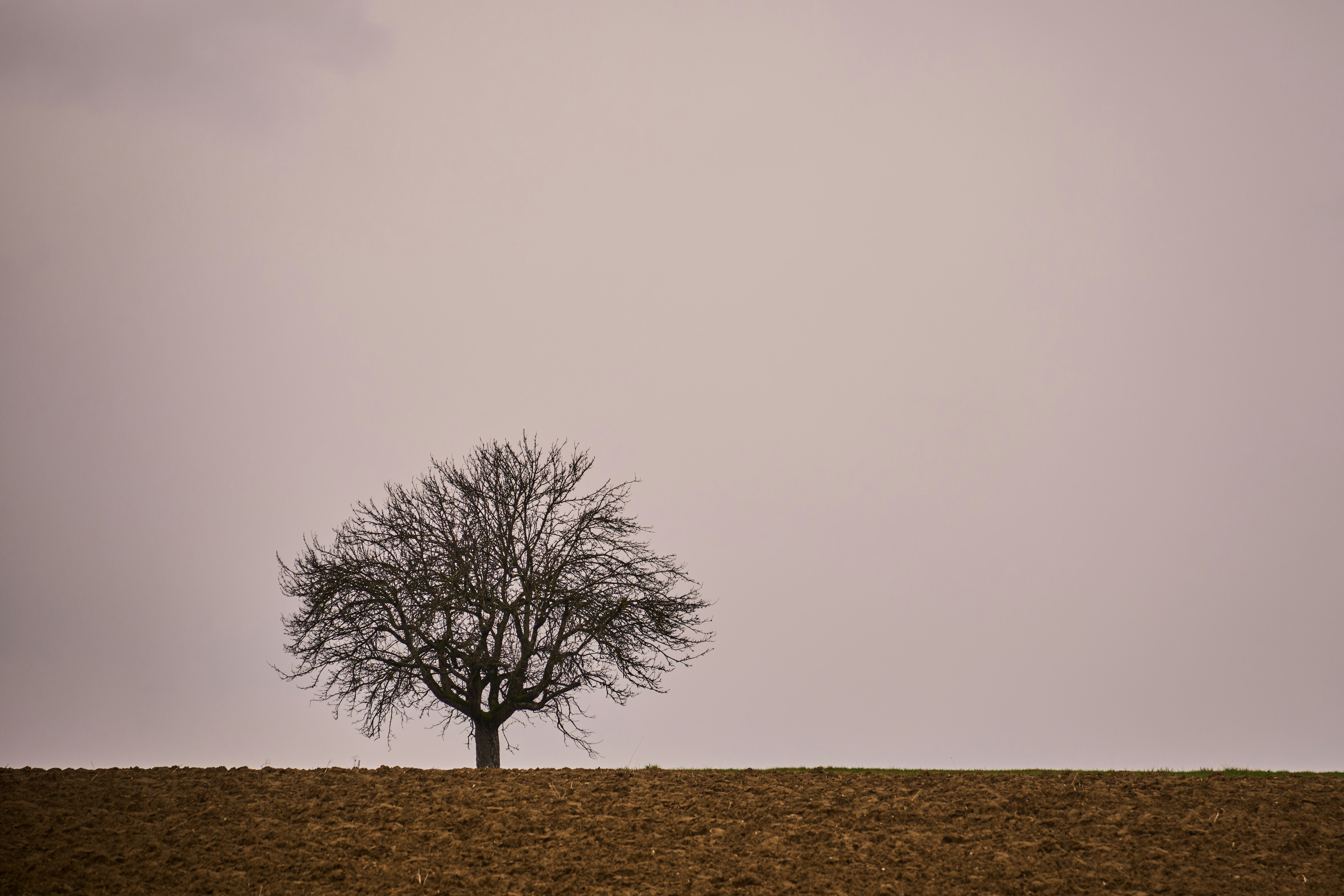 Photo by wolfgang_hasselmann