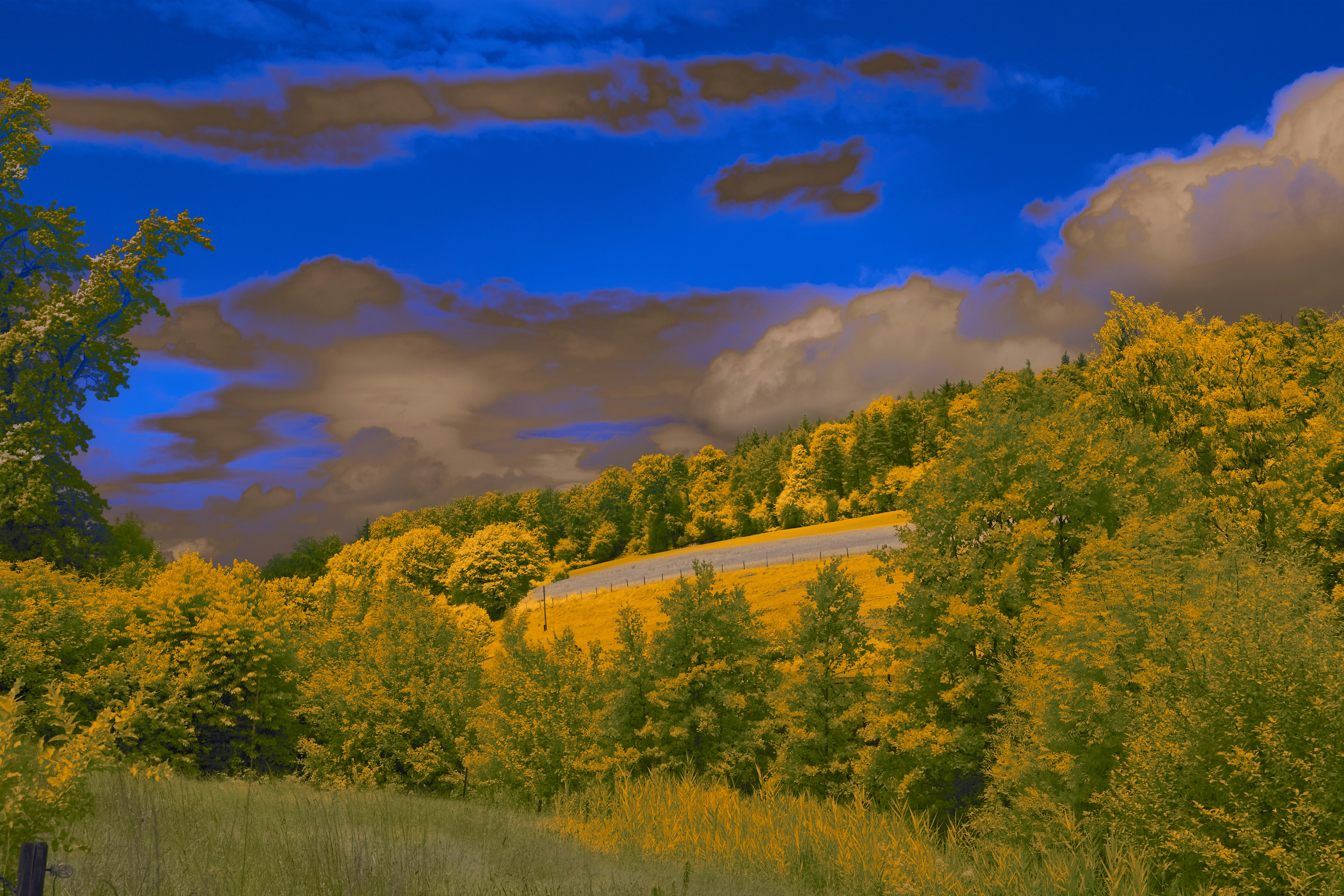 Landscape nature wallpaper, Peaceful forest background, Sunrise mountain wallpaper, Blue sky wallpaper, ilustrasi artikel Sejarah Pramuka: Dari Baden-Powell Hingga Gerakan Kepanduan Global 2