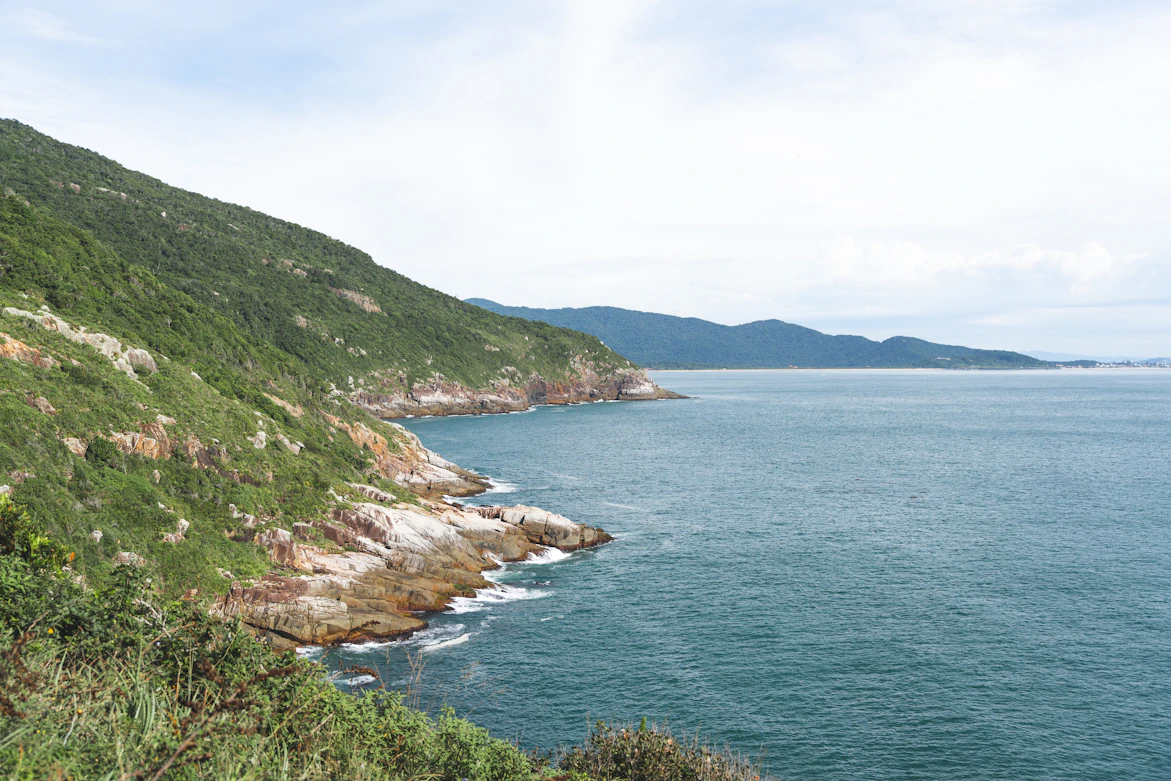 Atlantic rainforest meeting a secluded beach