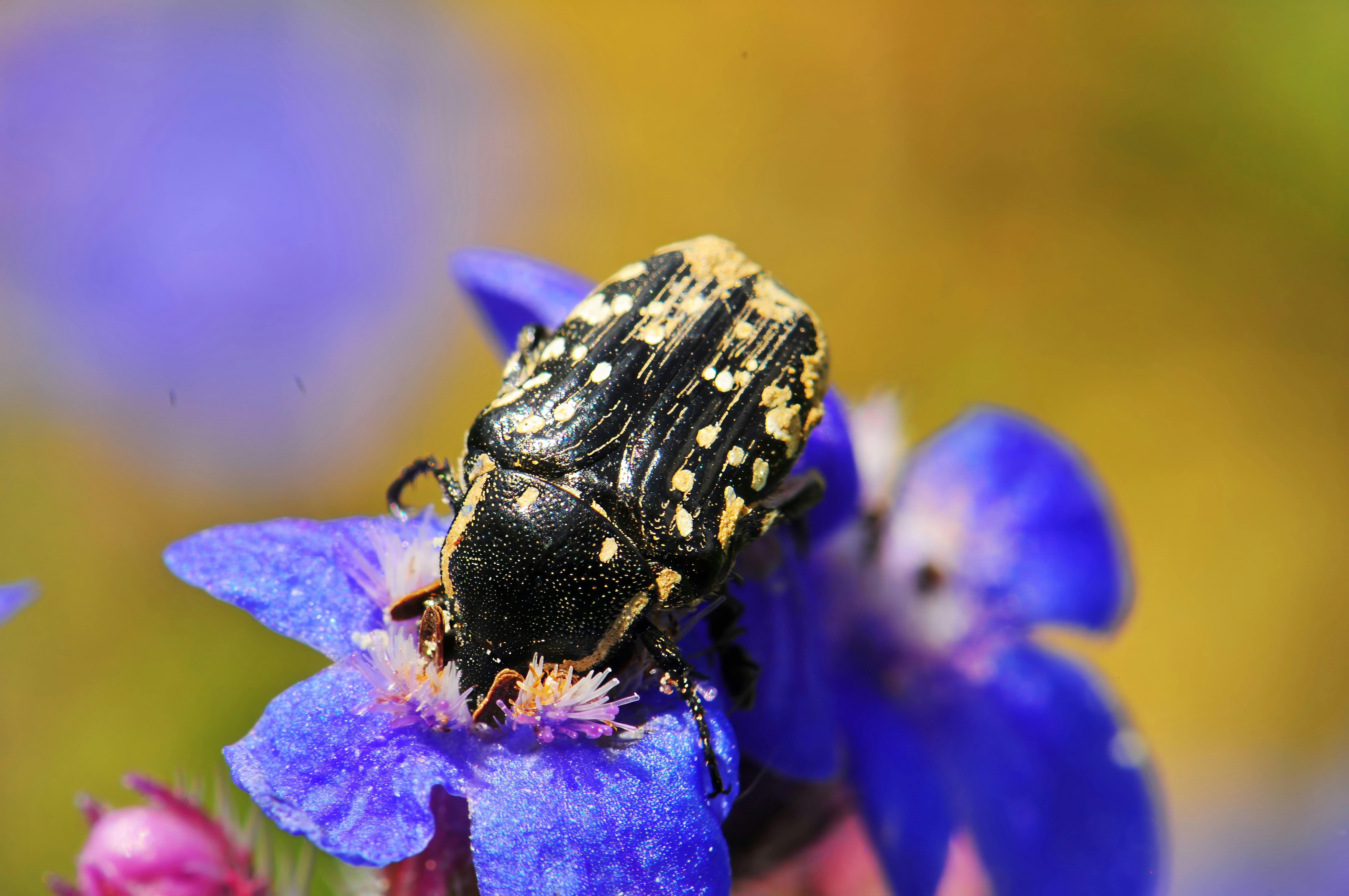 Photo by umuthasanoglu