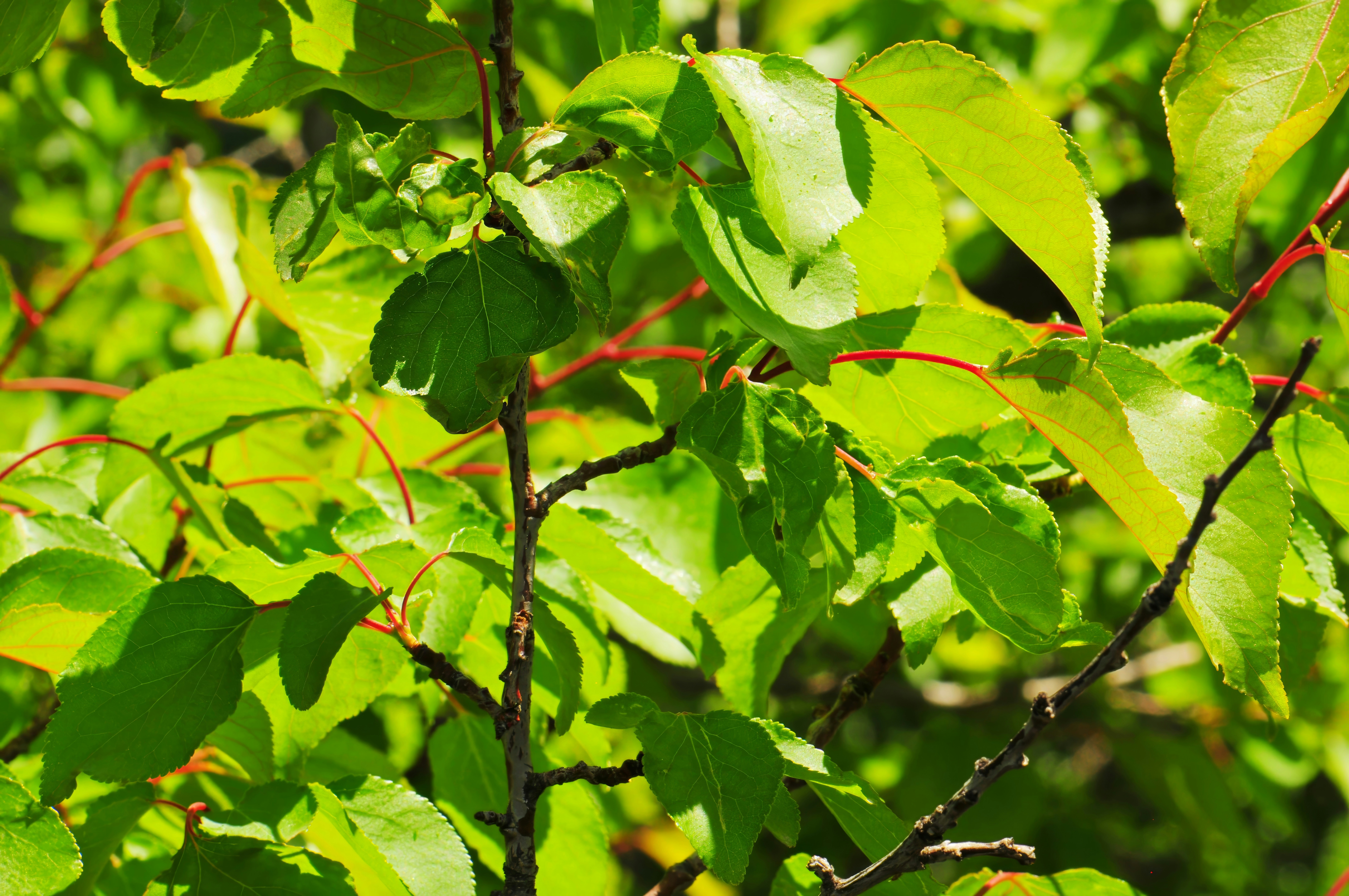 Photo by umuthasanoglu