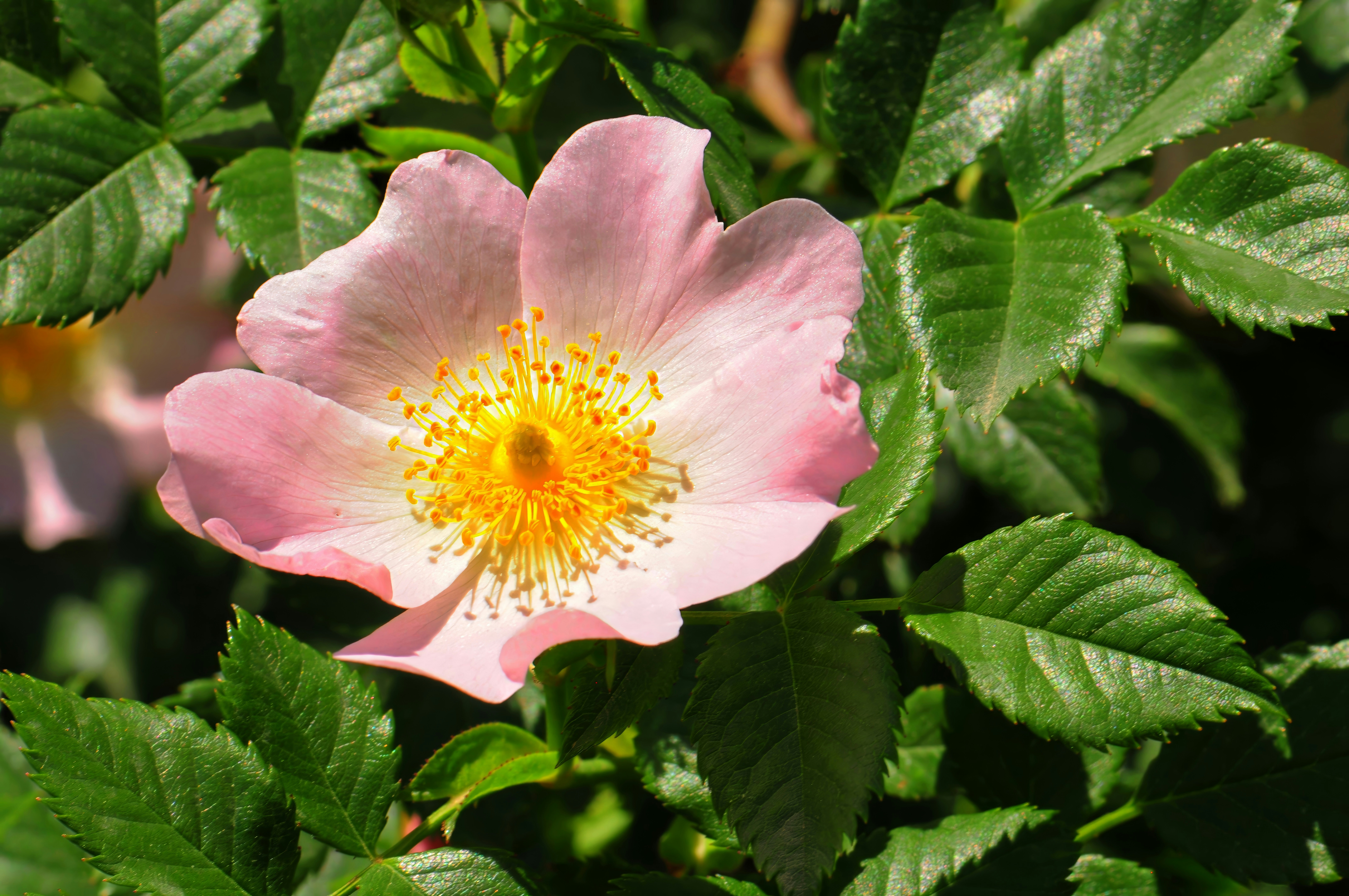 Photo by umuthasanoglu