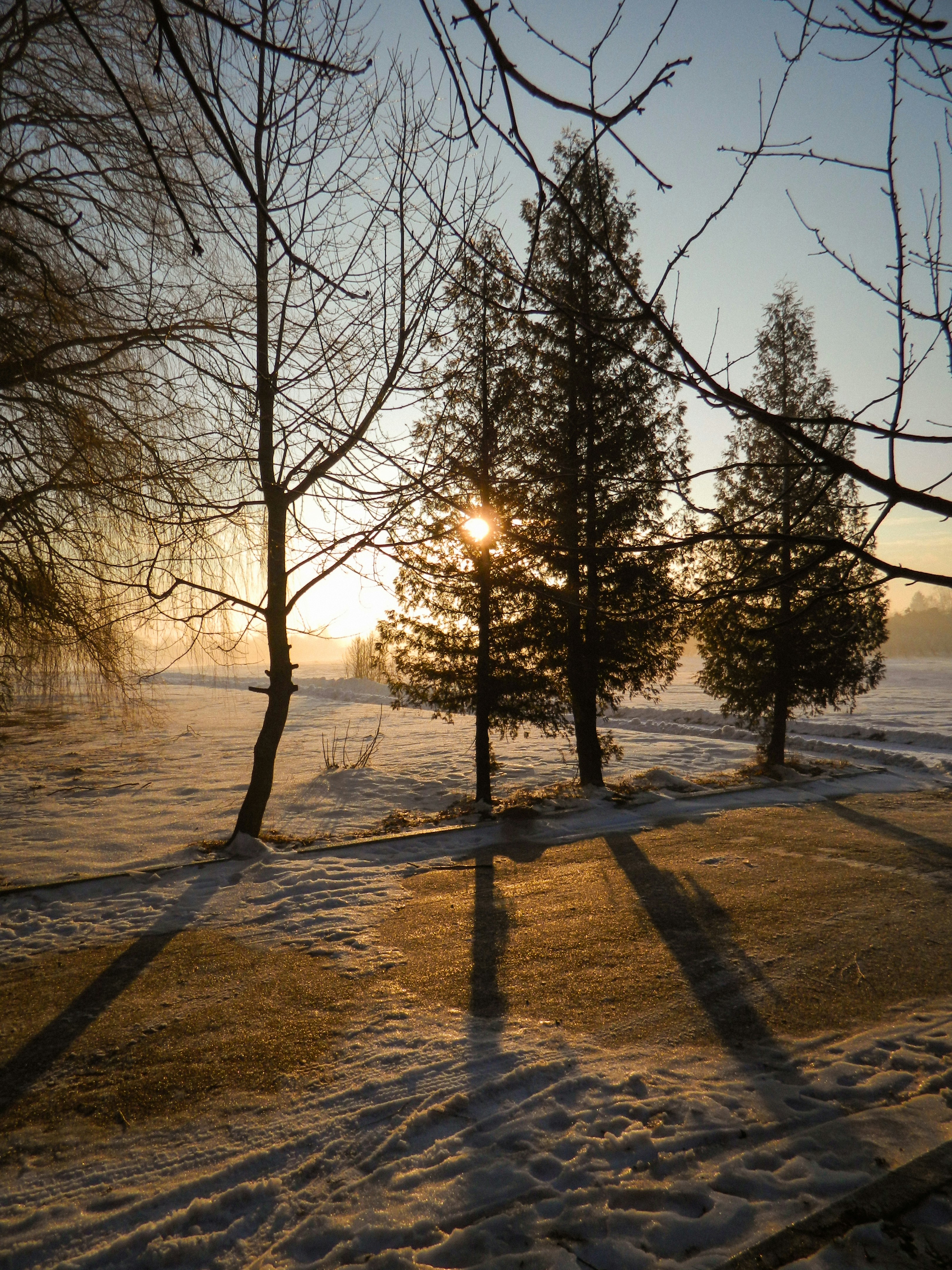 Photo by viktorsmoliak