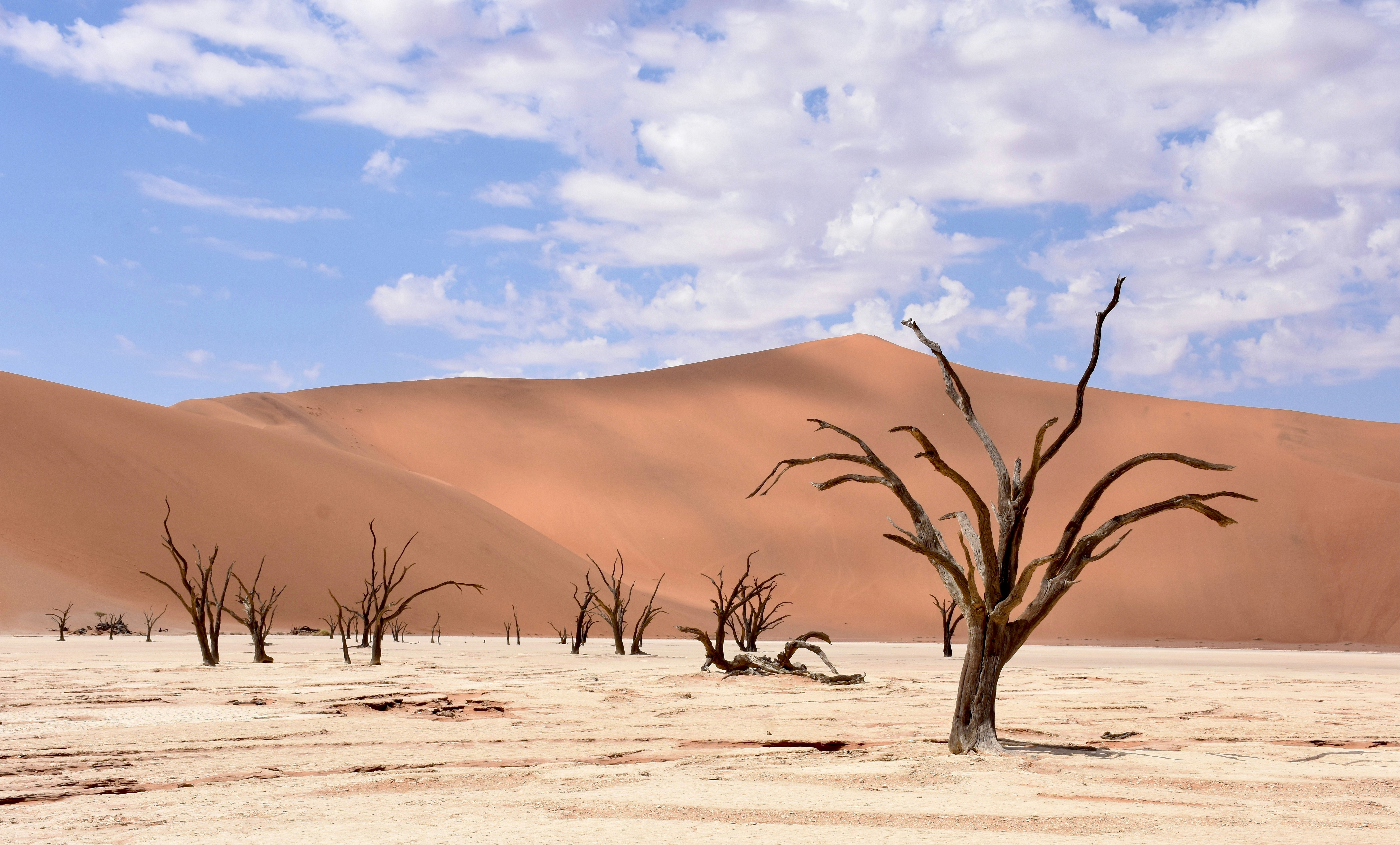 Photo by claudia18120