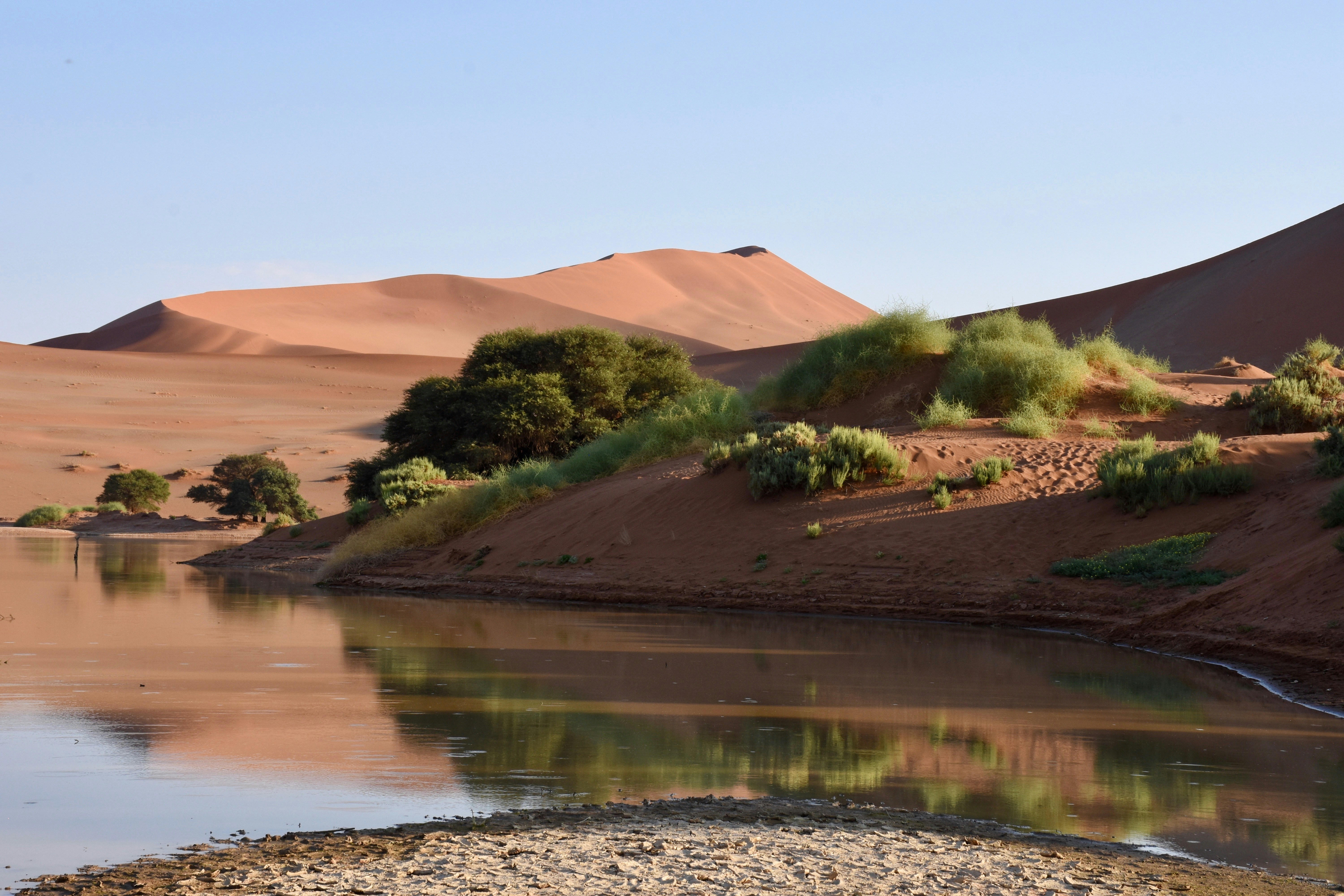 Photo by claudia18120