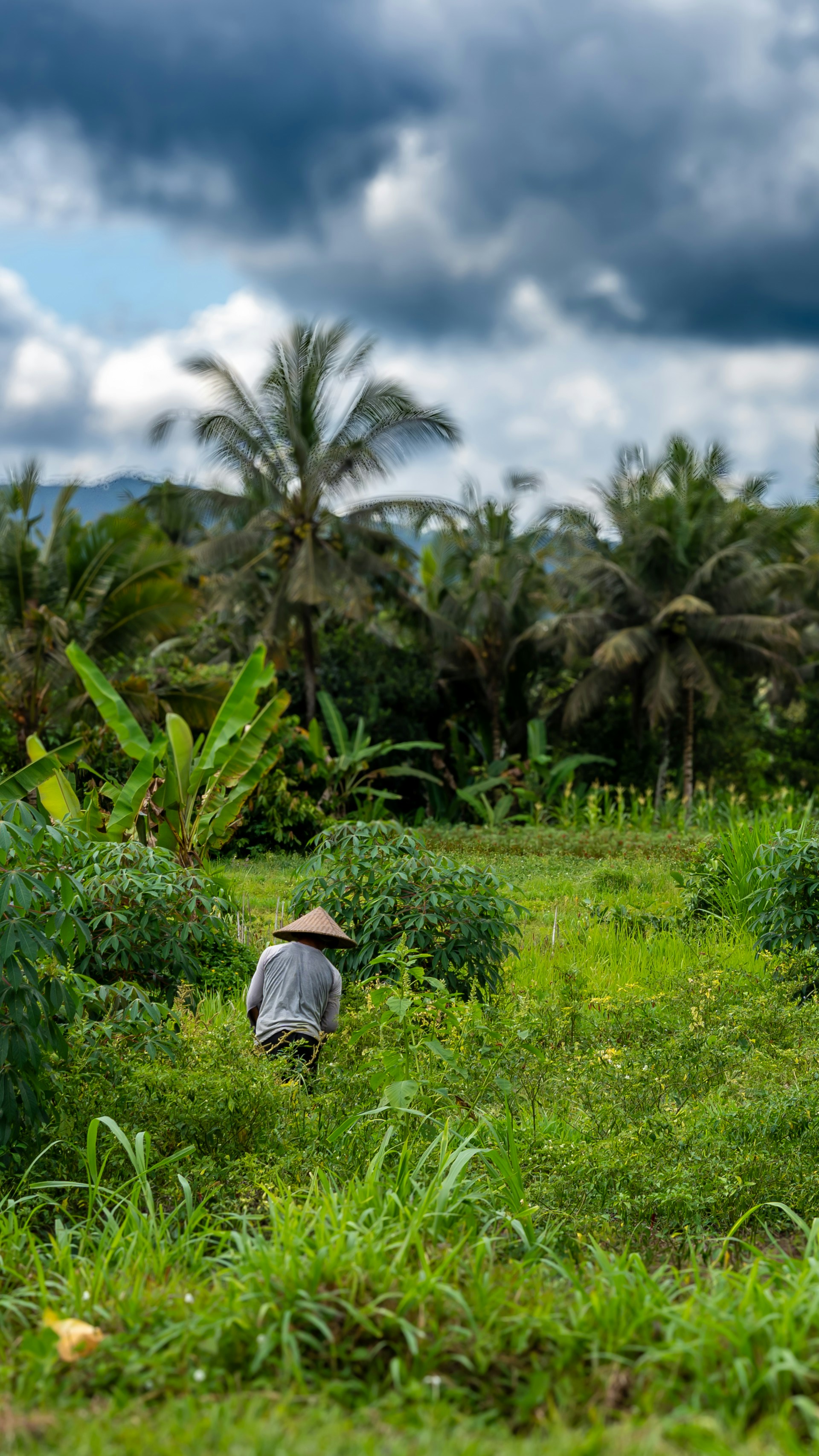 Photo by faustogarmen