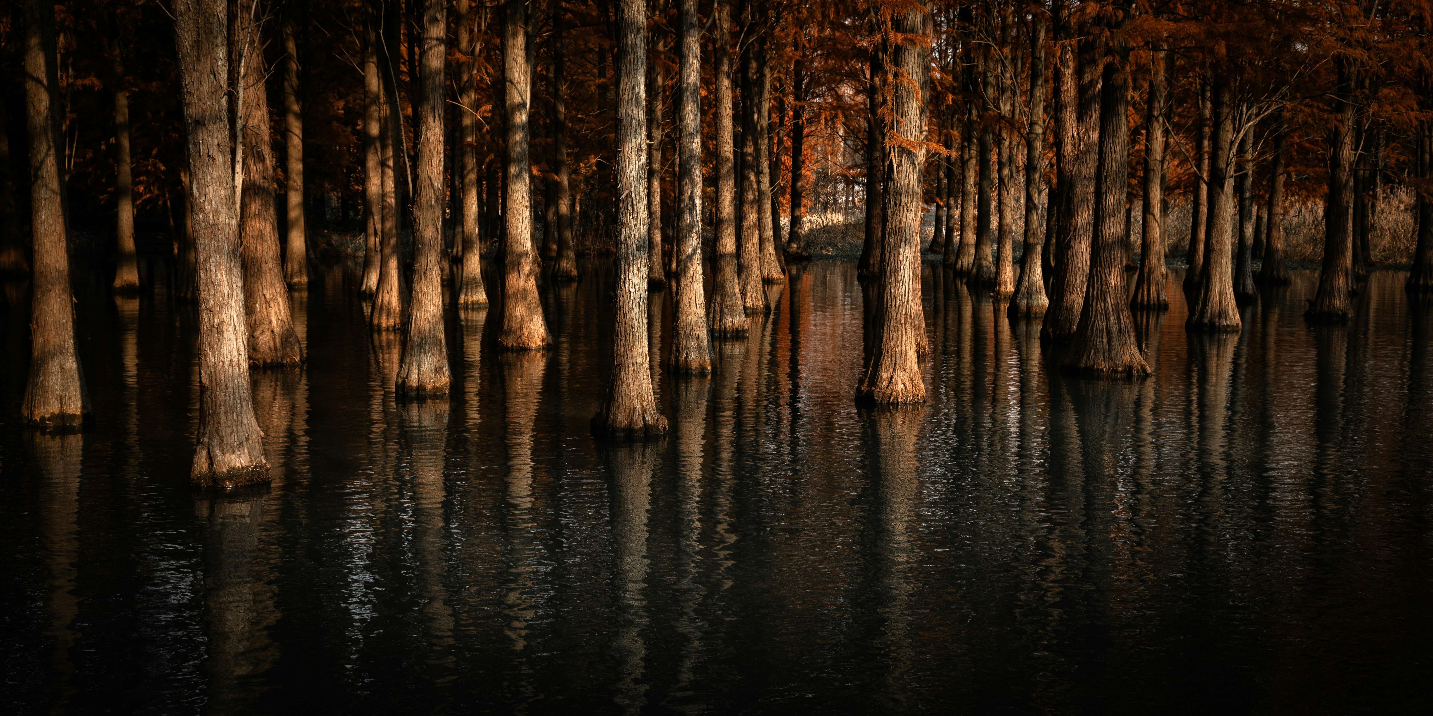 Photo by wenhao_ruan