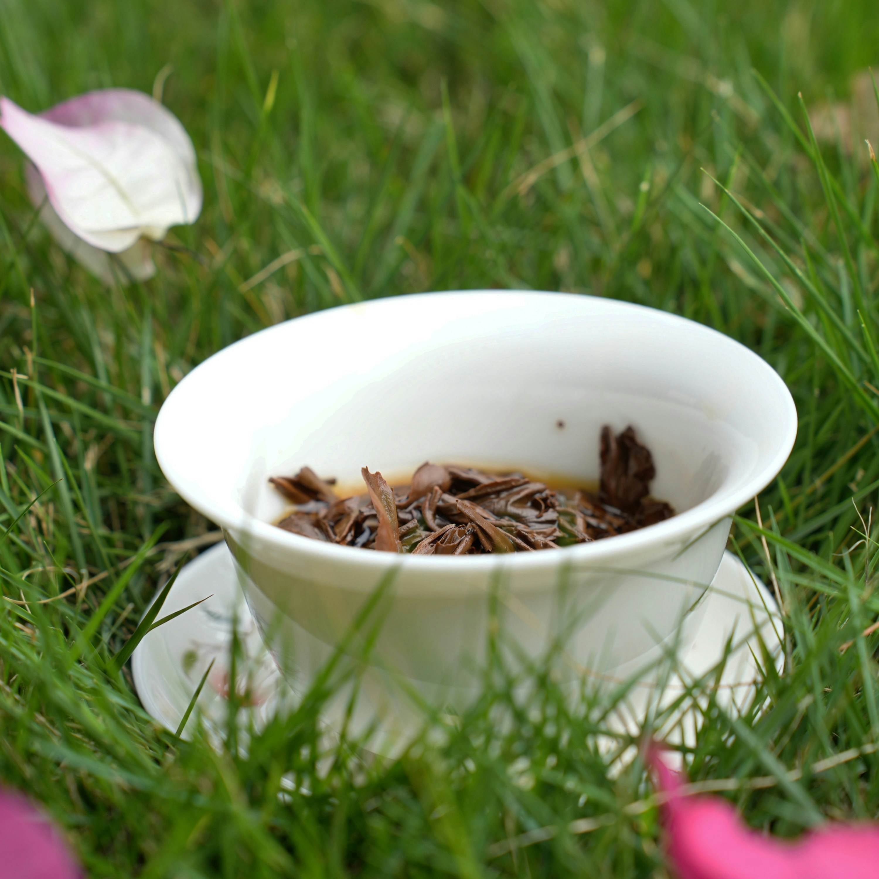 A cup of tea on a saucer in the grass
