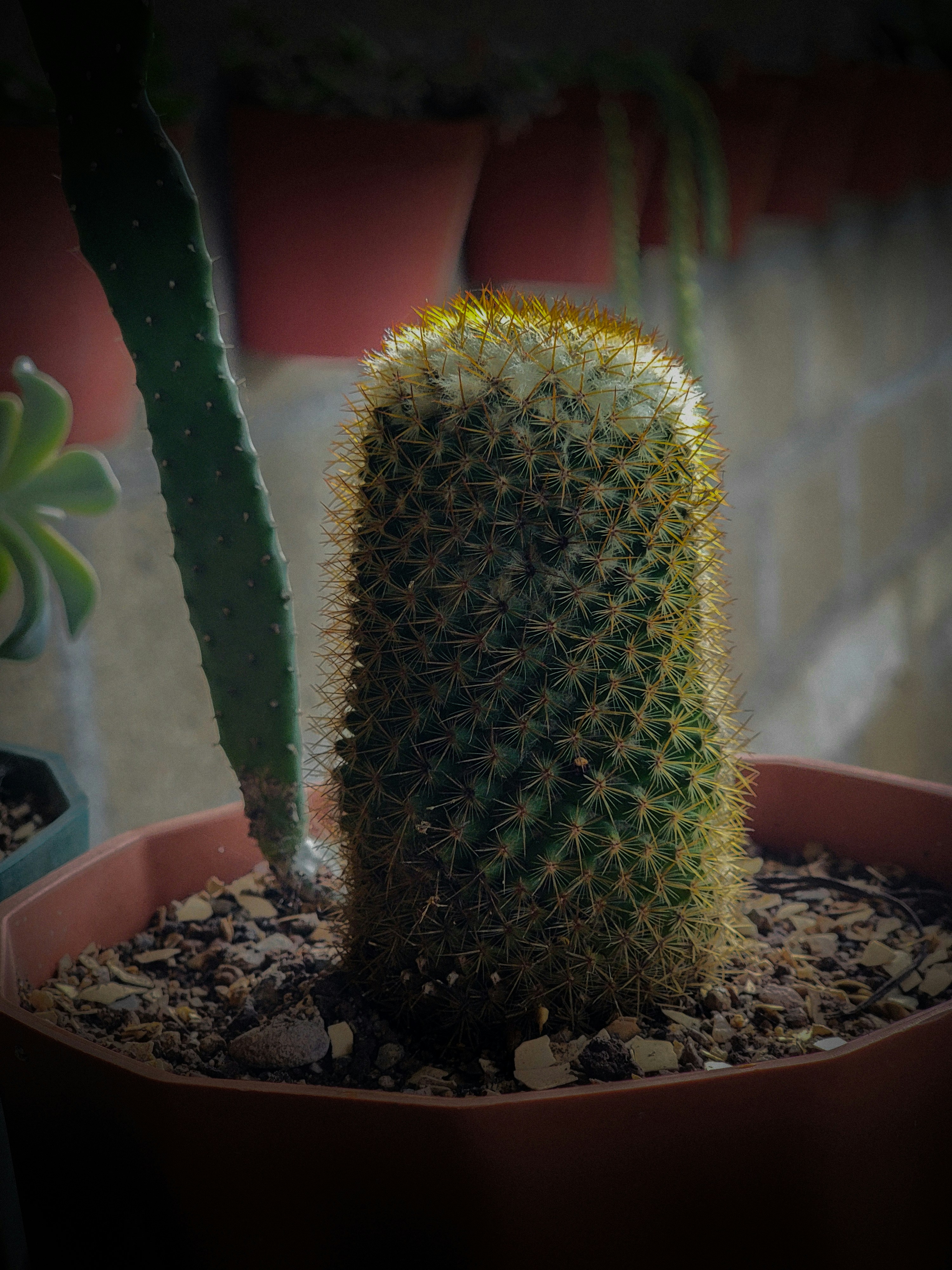 Photo by jafeth_diaz