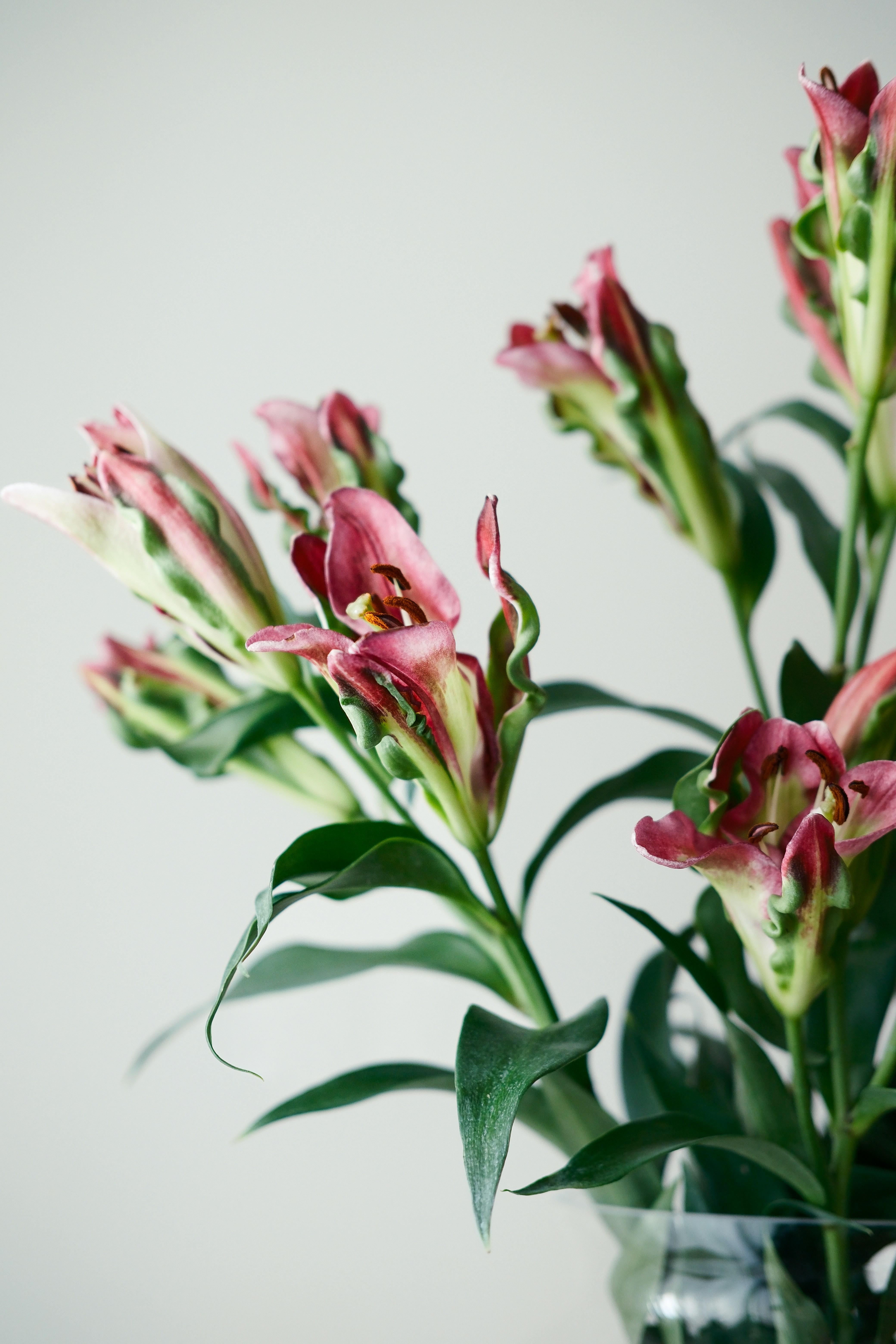 Photo by nganduong93