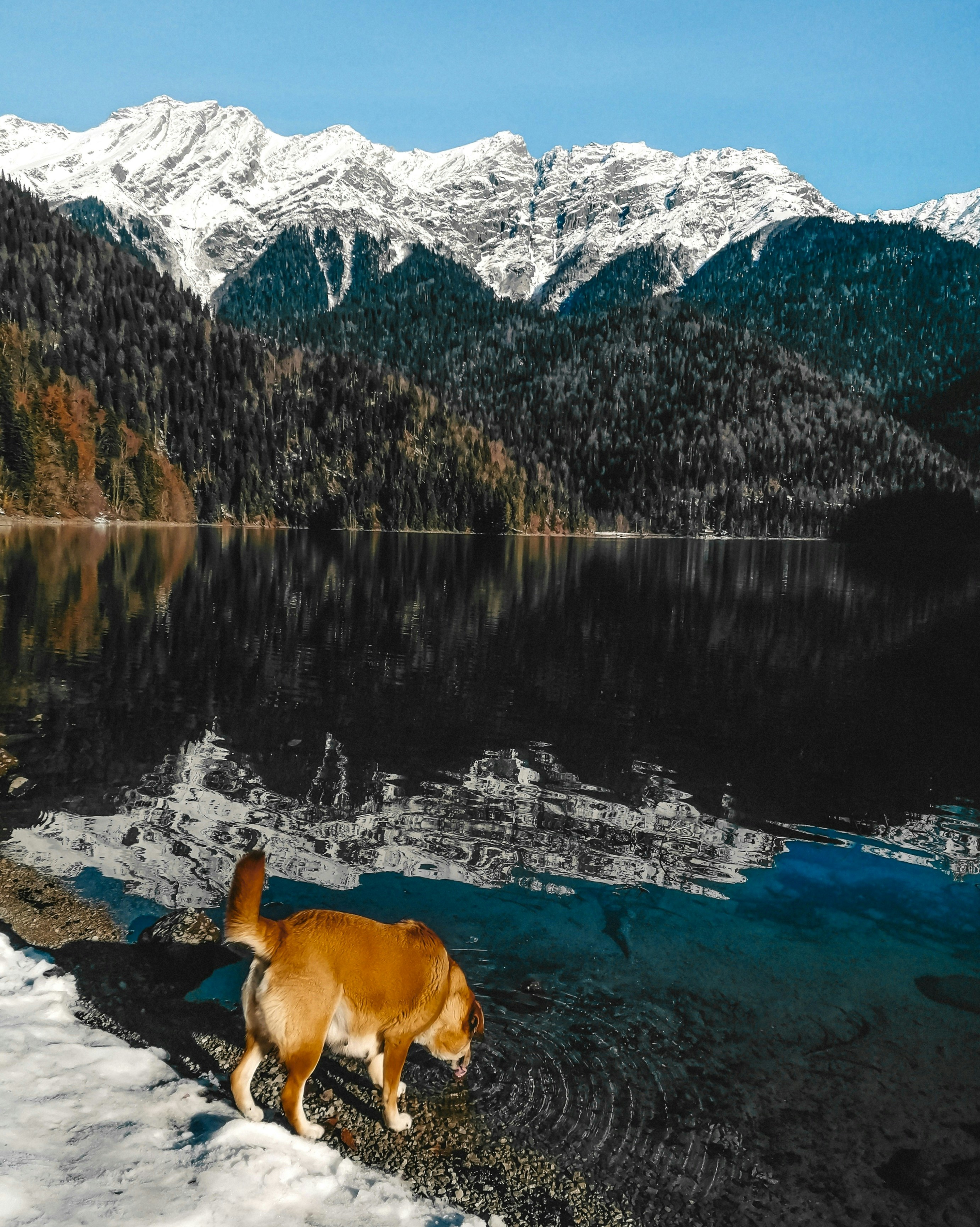 Photo by mariamaximova