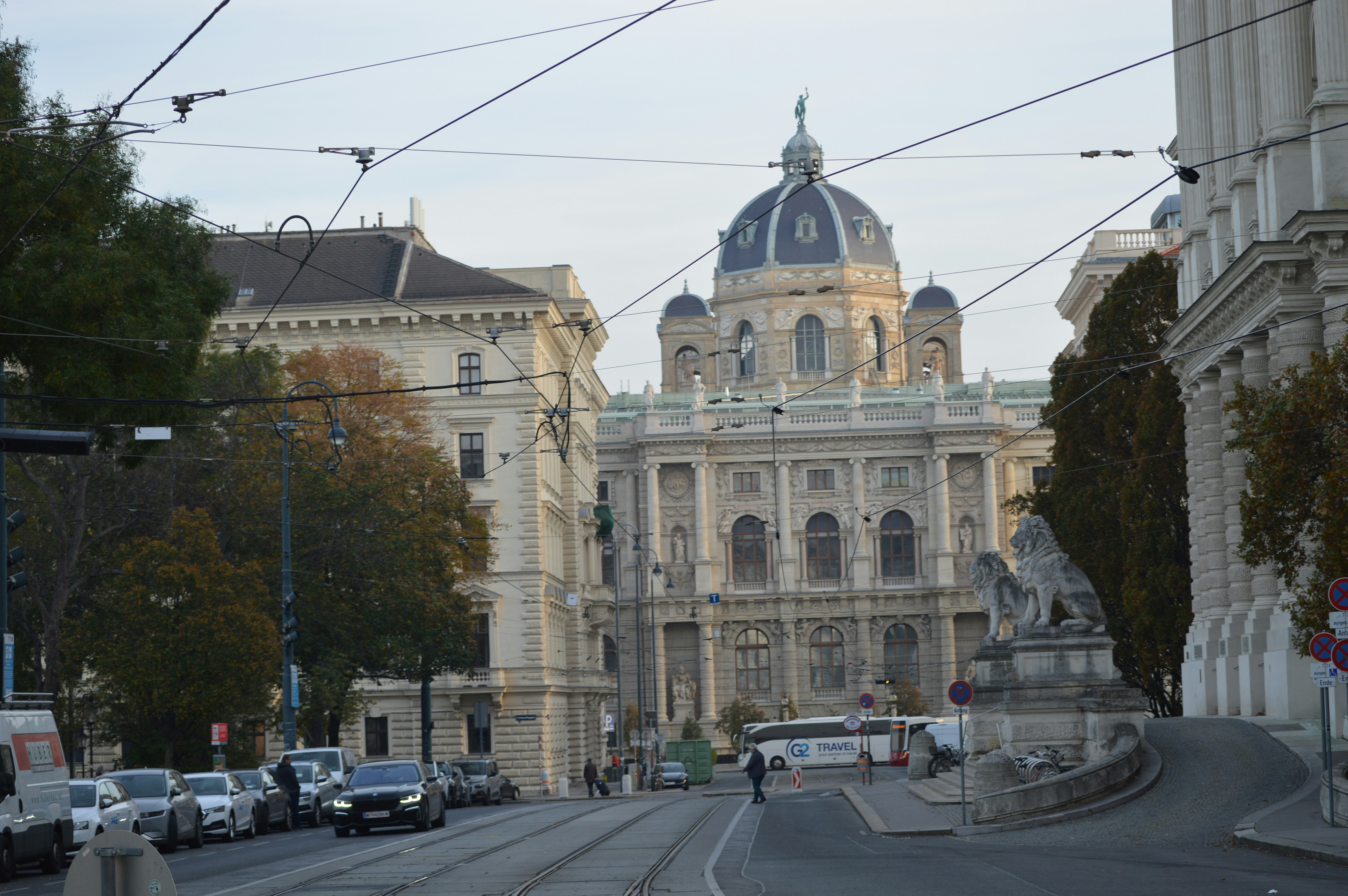 A city street with a large building in the background, Vienna City Sightseeing Tour