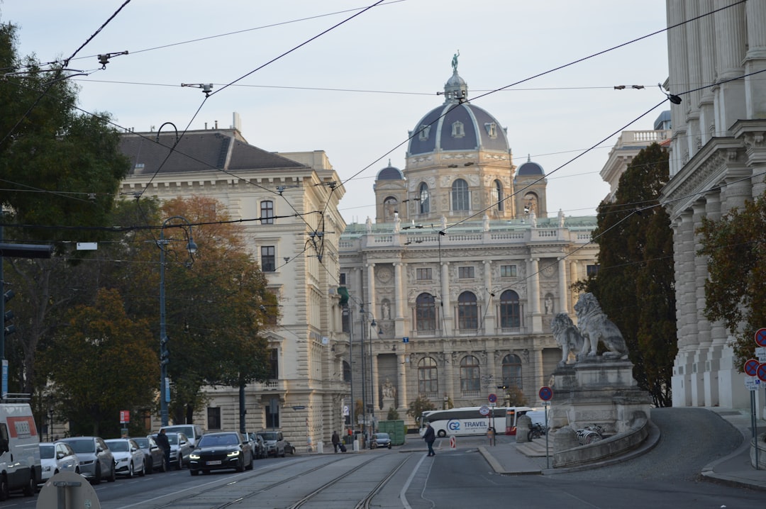 A city street with a large building in the background, Vienna City Sightseeing Tour