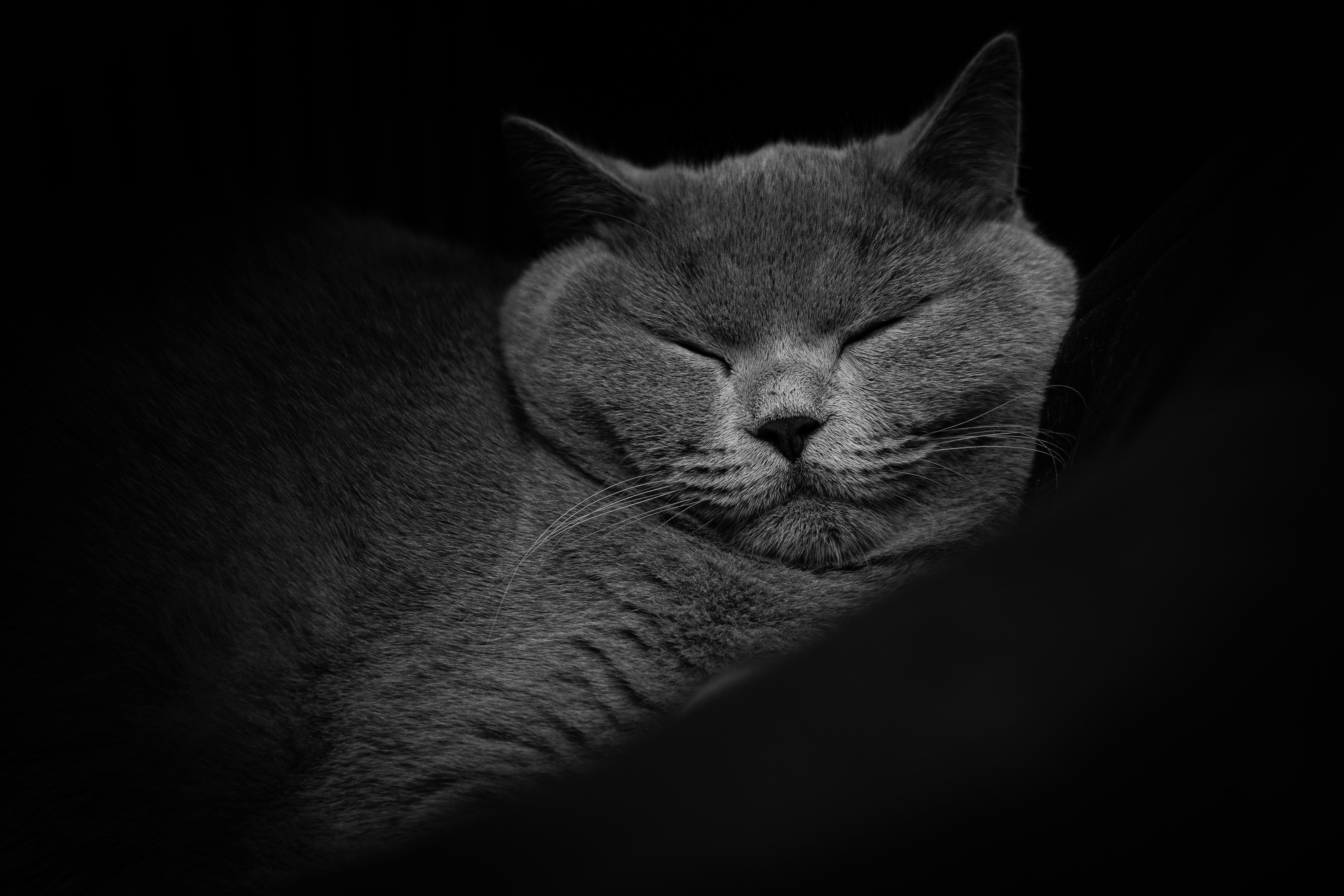 Photo by lukasparnican