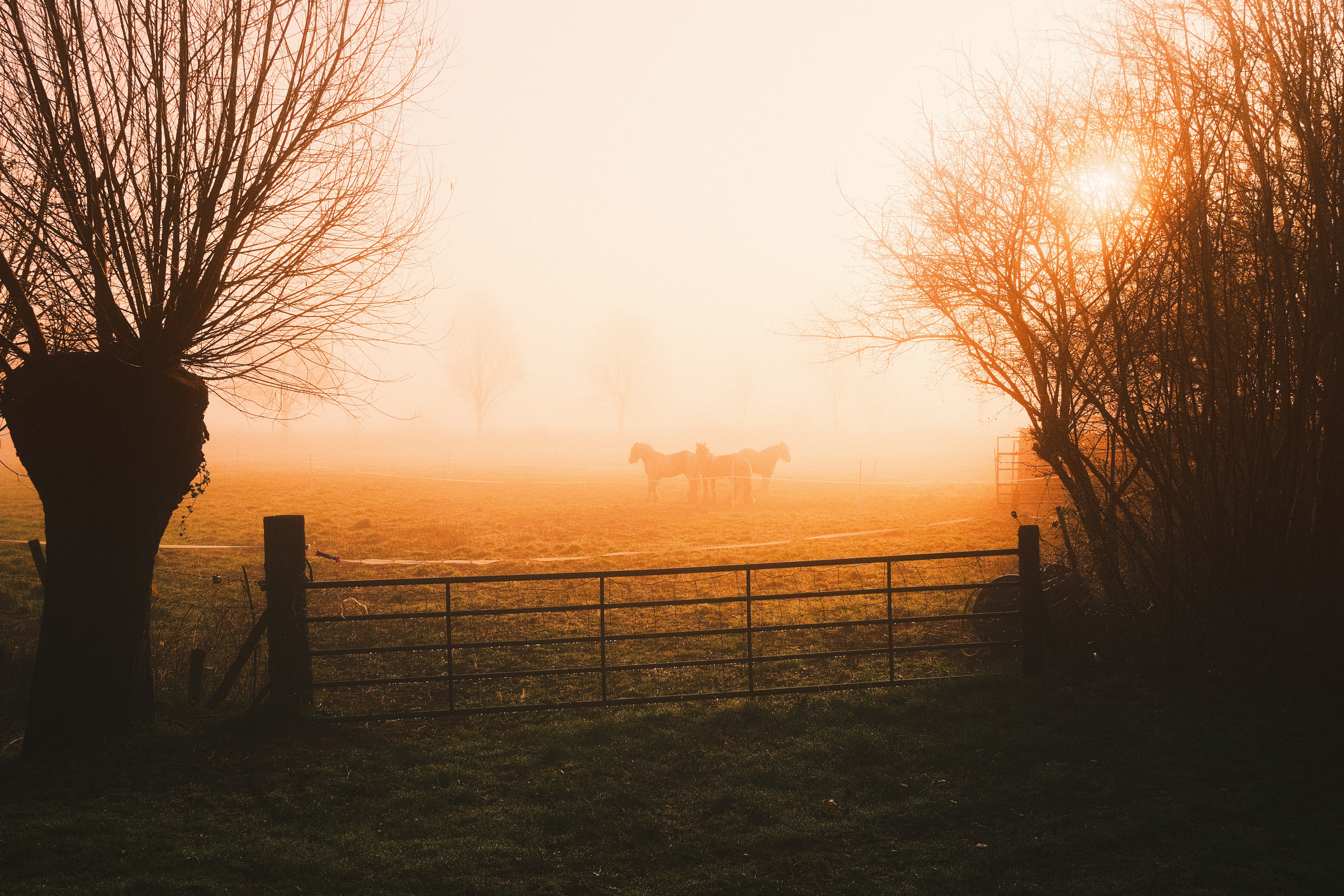 Photo by visualsbying