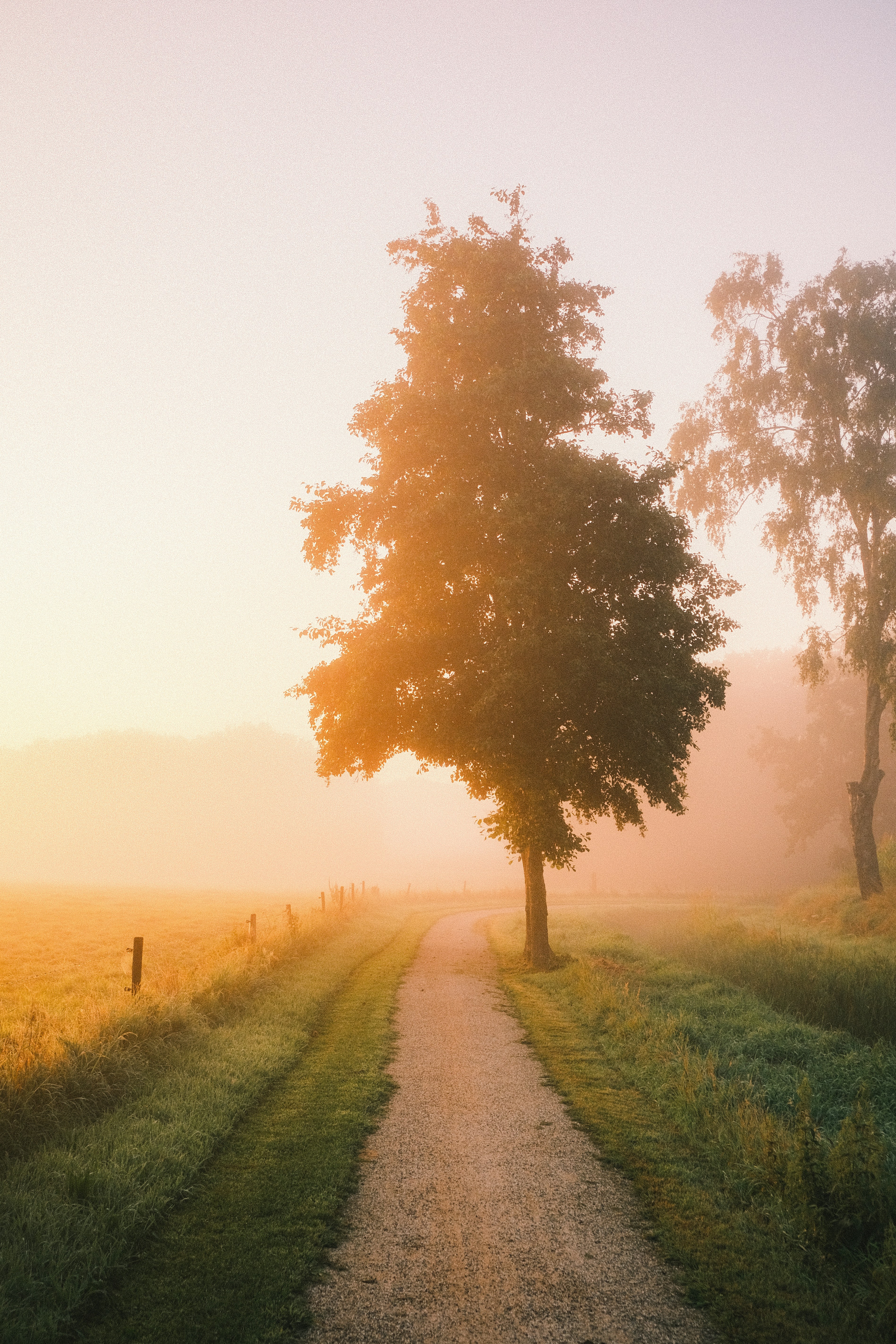 Photo by visualsbying