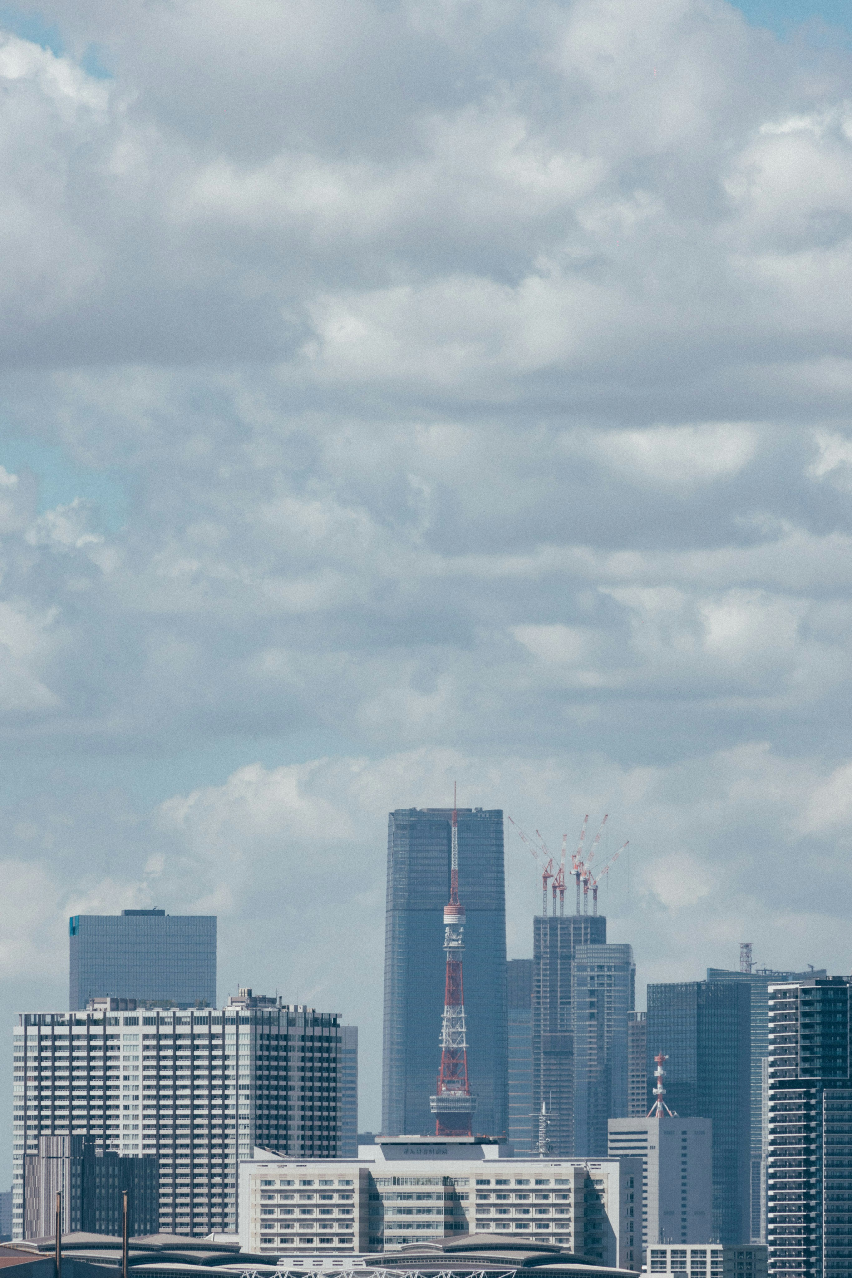 Photo by tsuyoshikozu