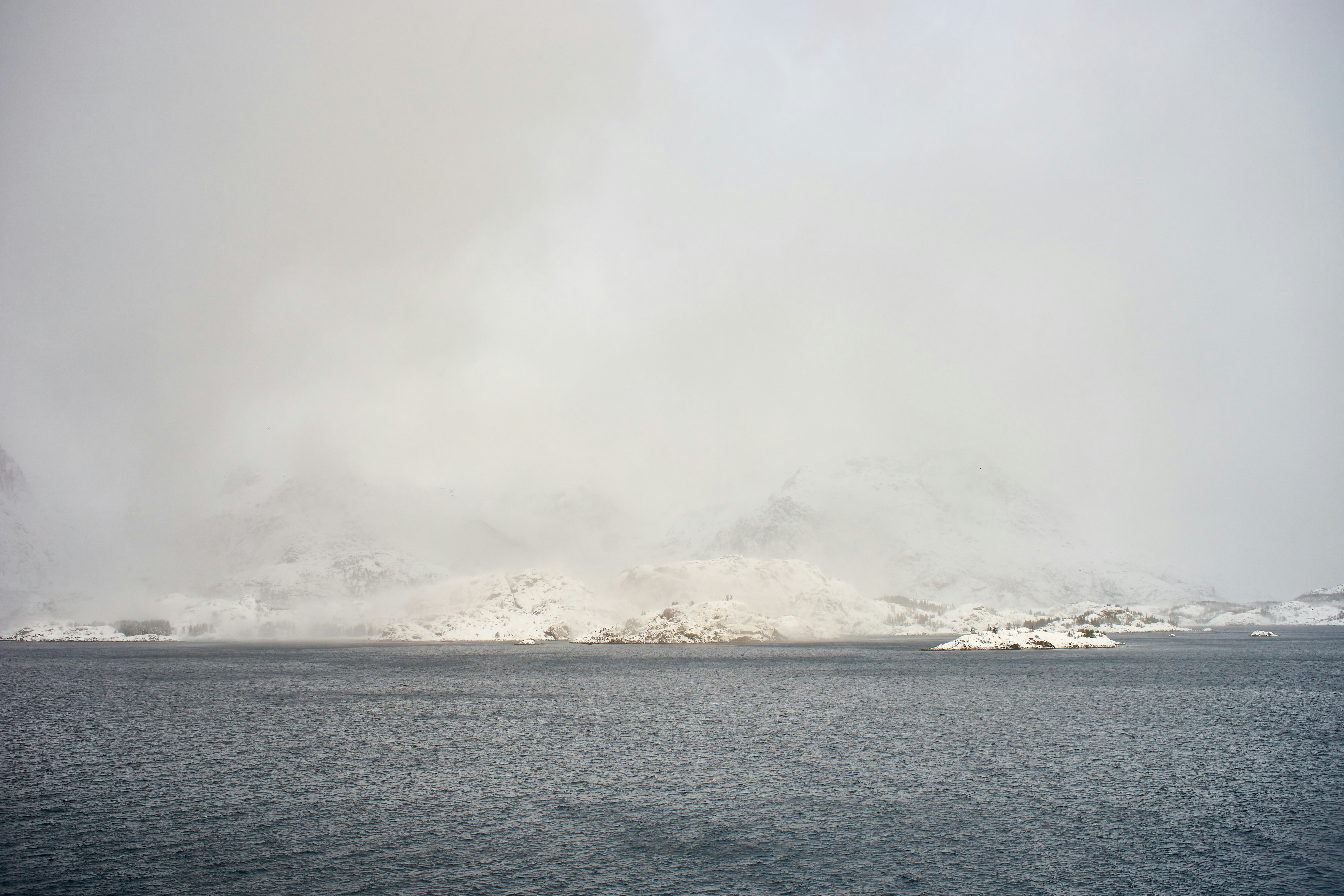 Photo by wolfgang_hasselmann