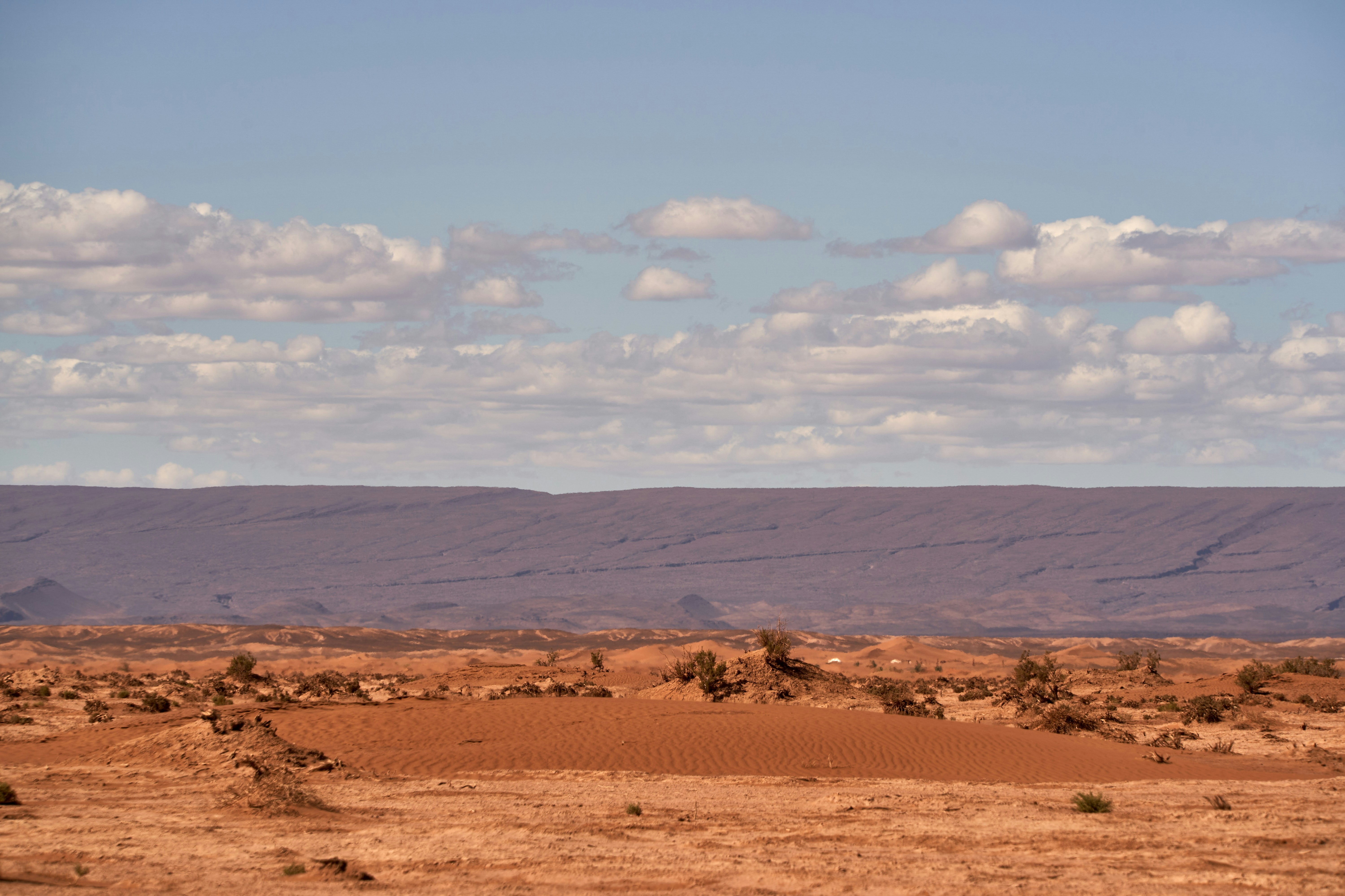 Photo by wolfgang_hasselmann