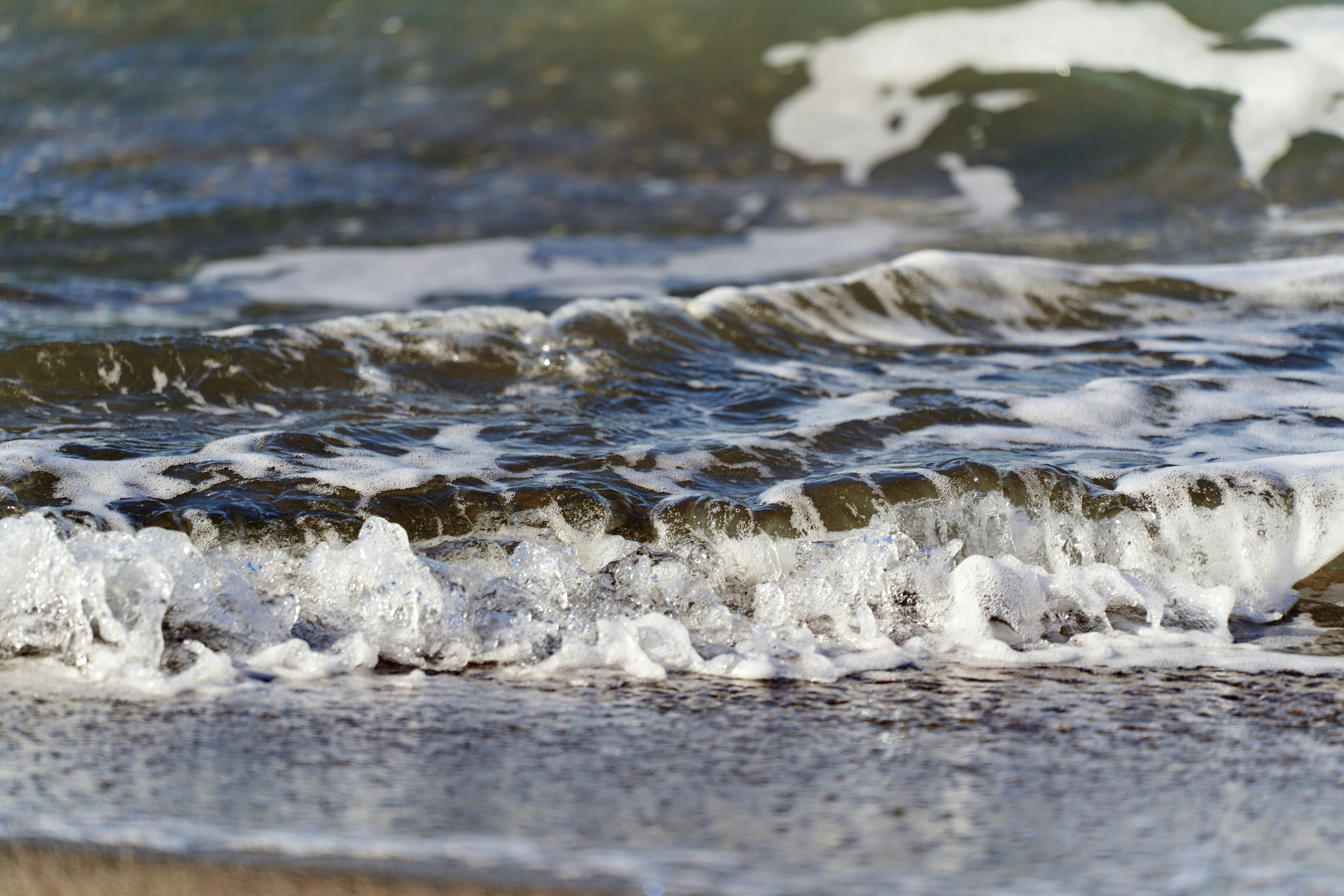 Photo by wolfgang_hasselmann